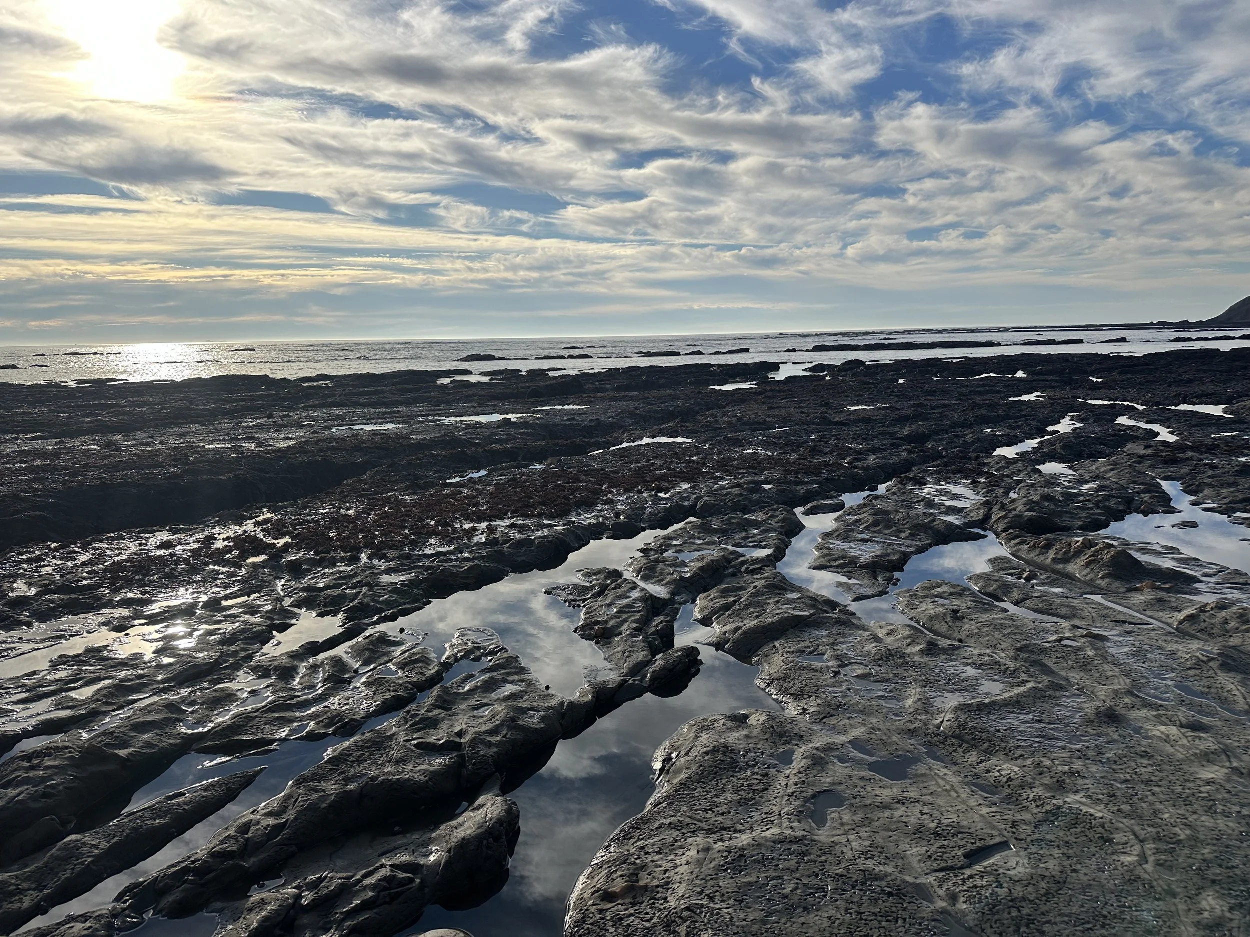 90-Minute Perimenopause Health Coaching Intensive