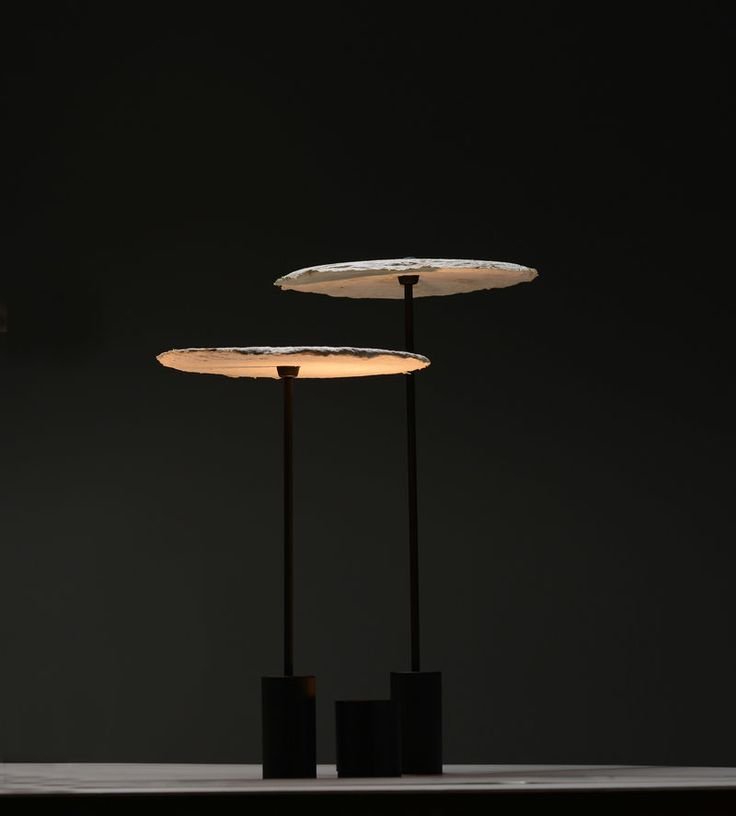 Mushroom Mycelium-Made Lighting Fixtures.jpg