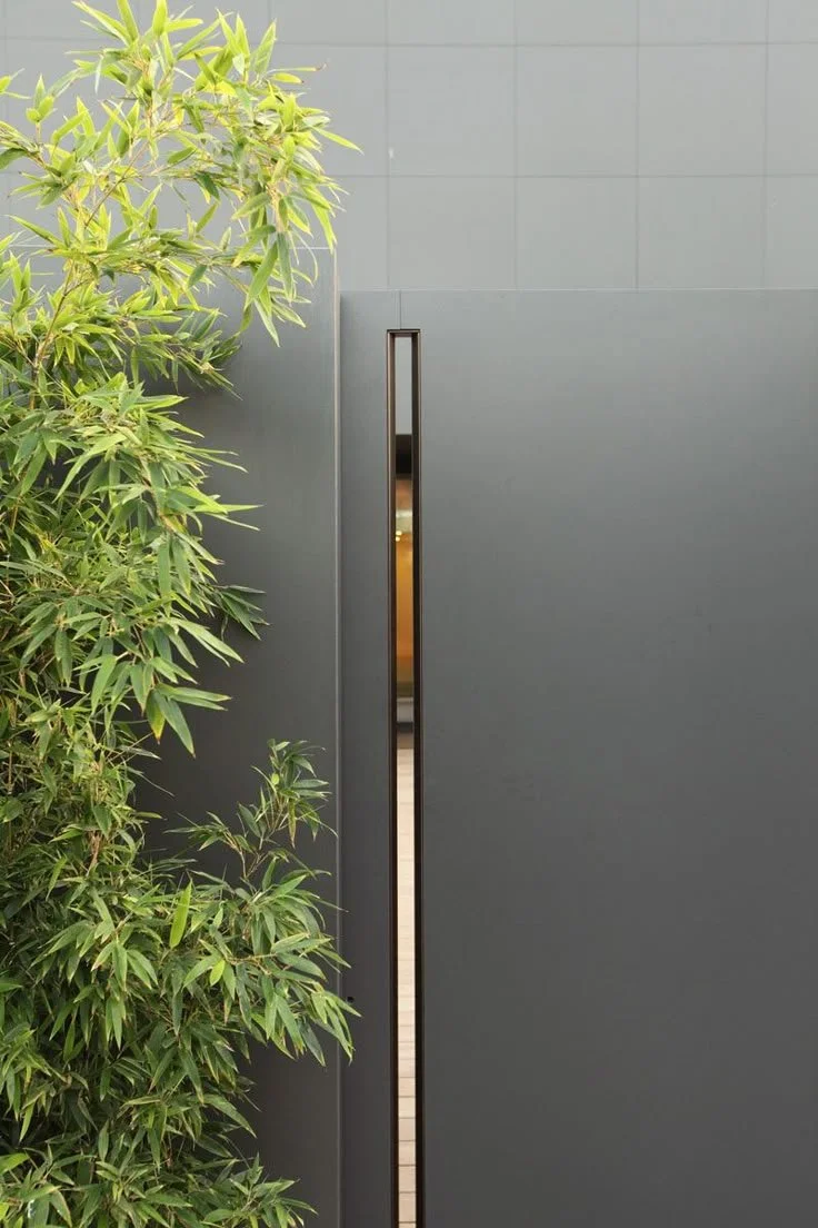Window Style Ideas - Narrow Vertical Windows.jpg