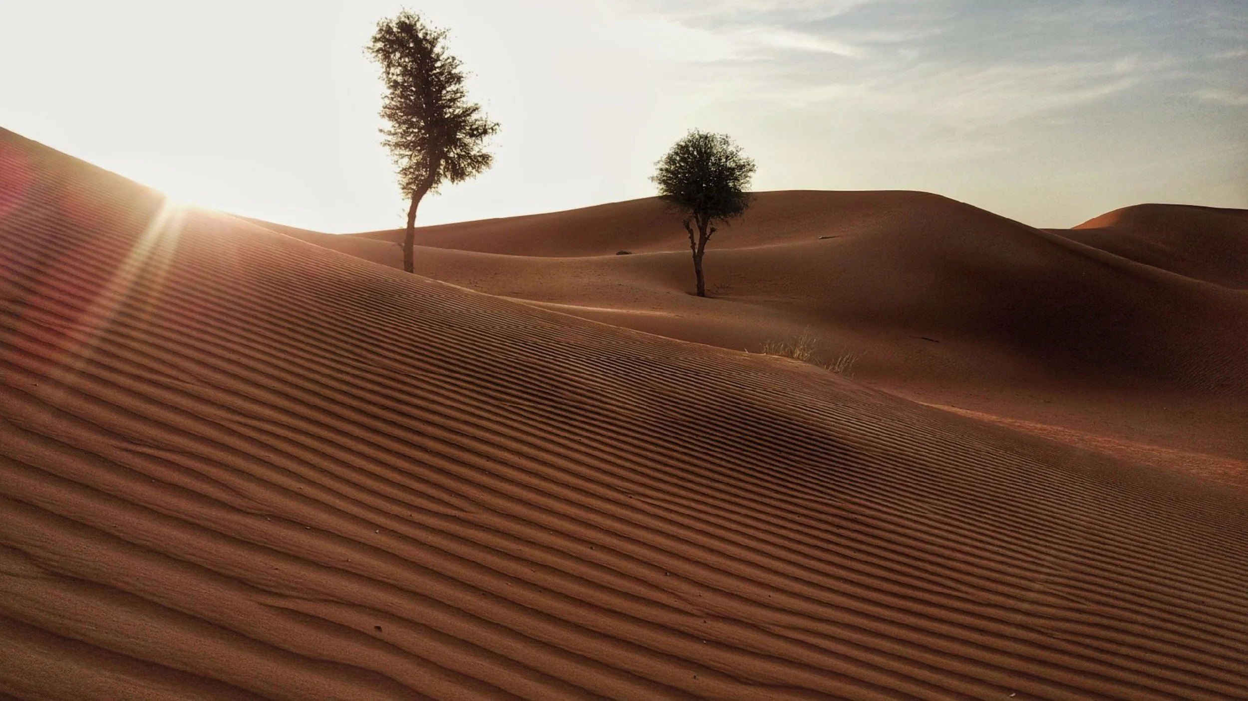 Desert