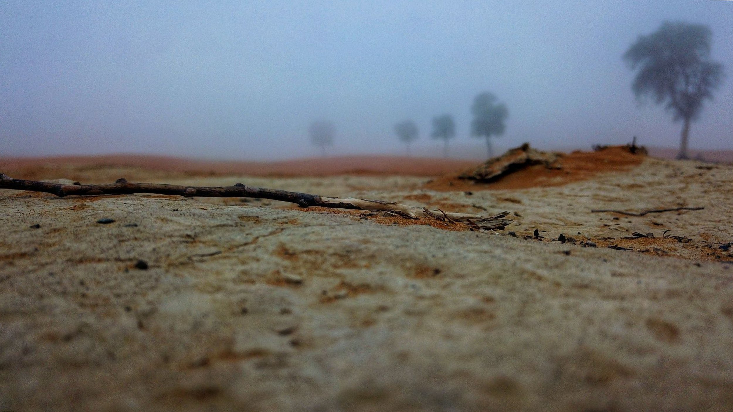 slide_18.jpg