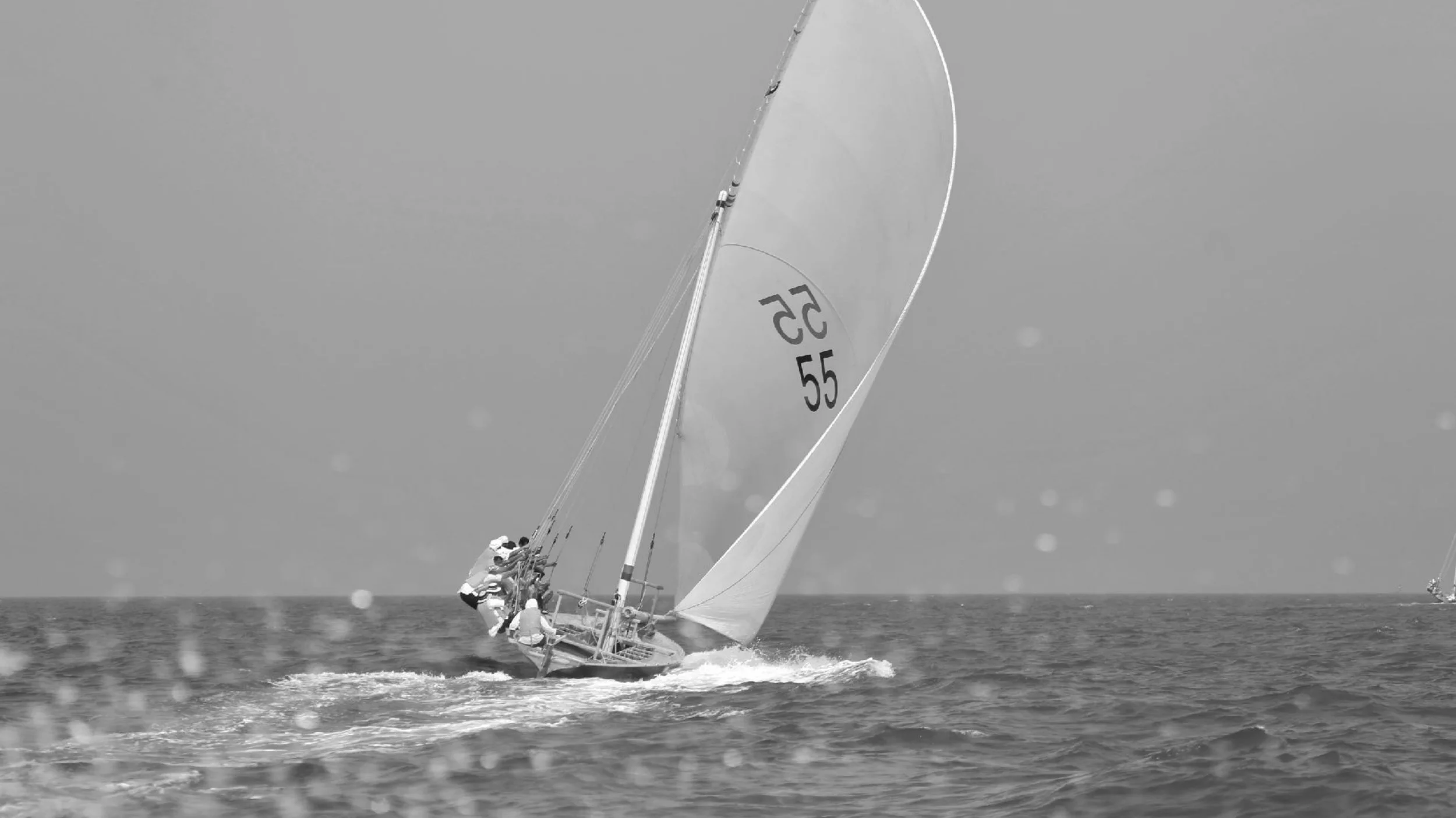slide_11.jpg