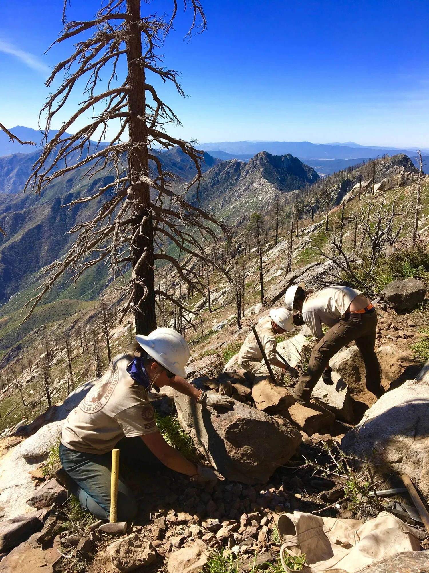 California Ecological Restoration Projects