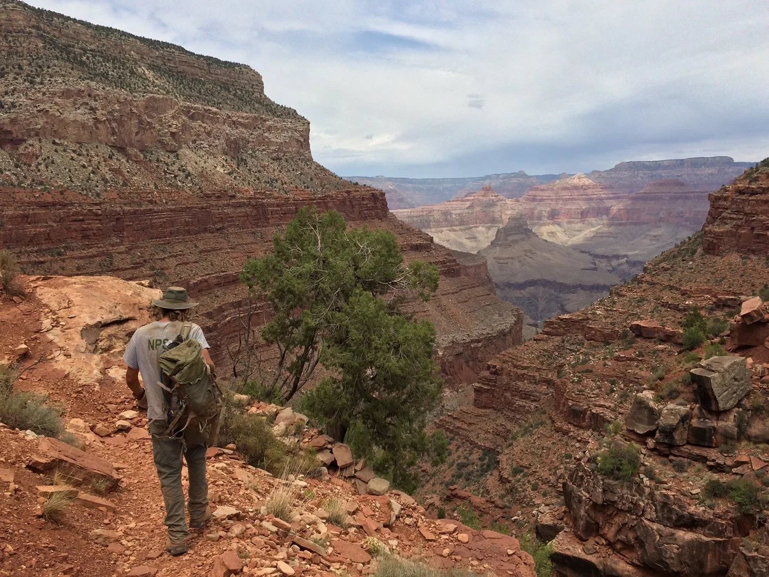 Arizona Ecological Restoration Projects