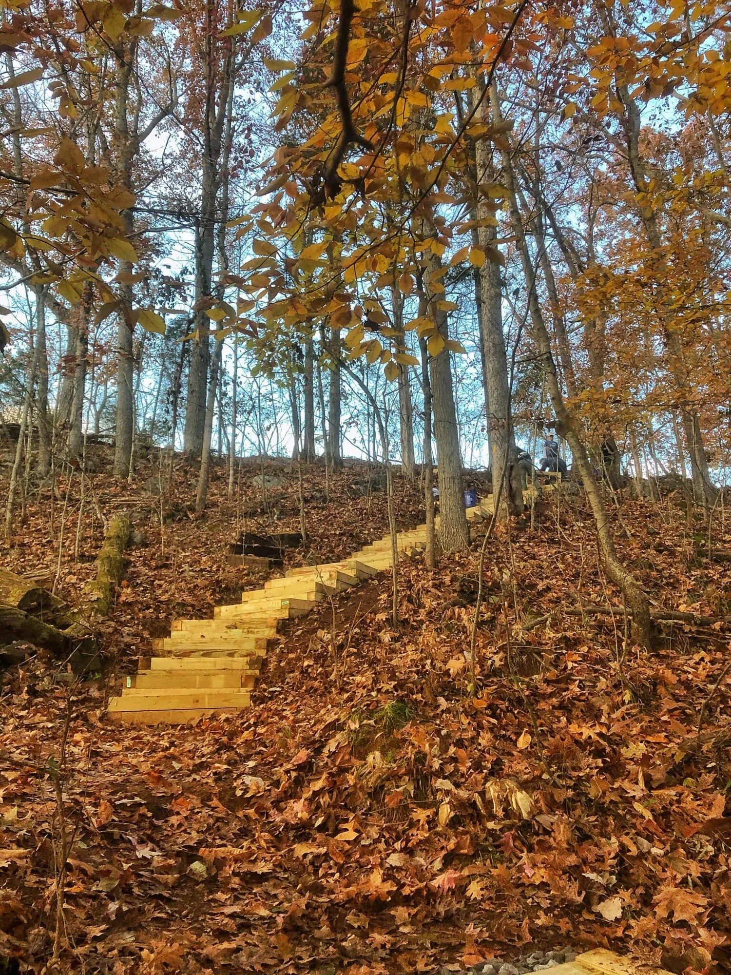 Tennessee State Park Project