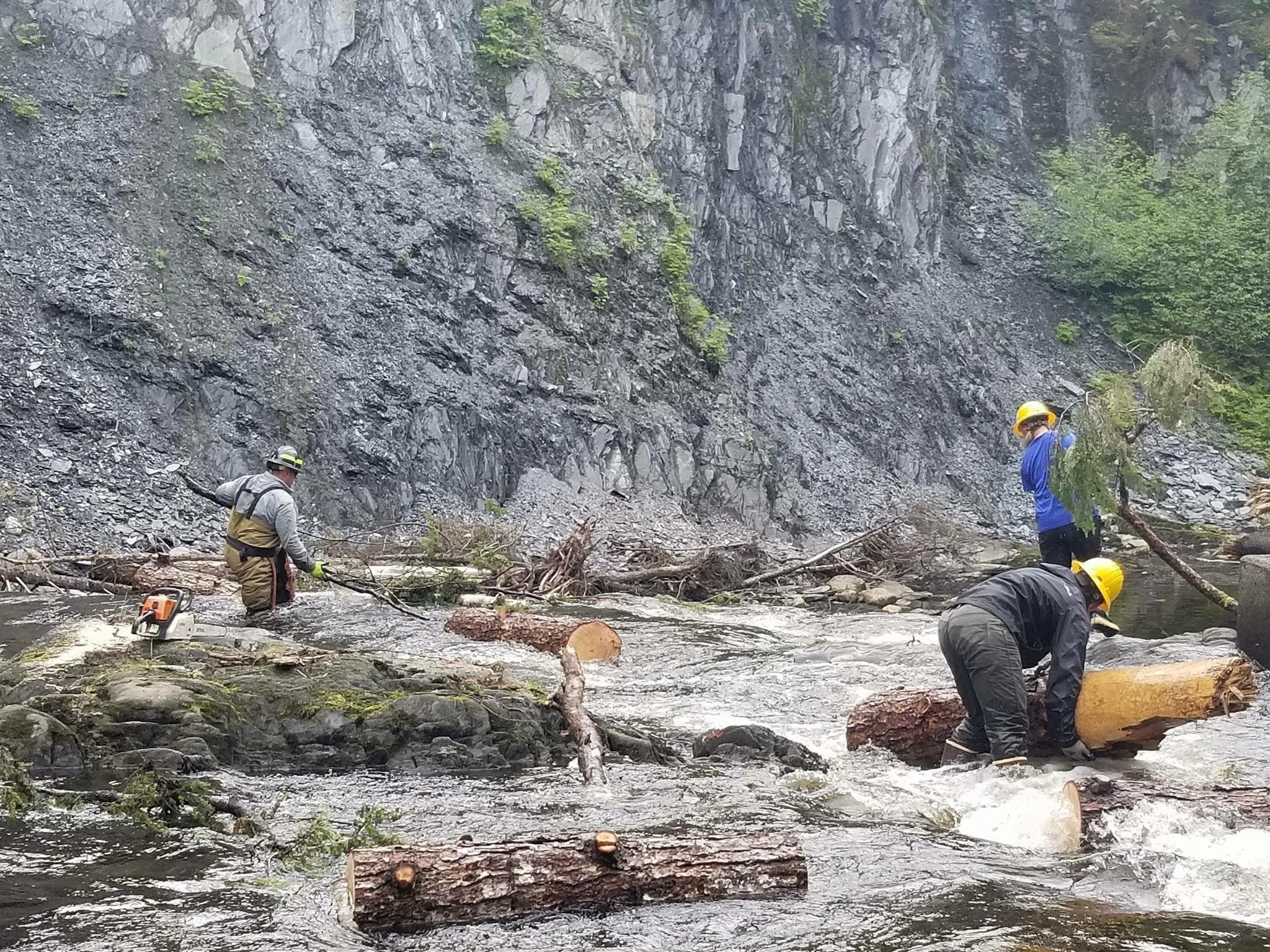 Alaska Ecological Restoration Projects