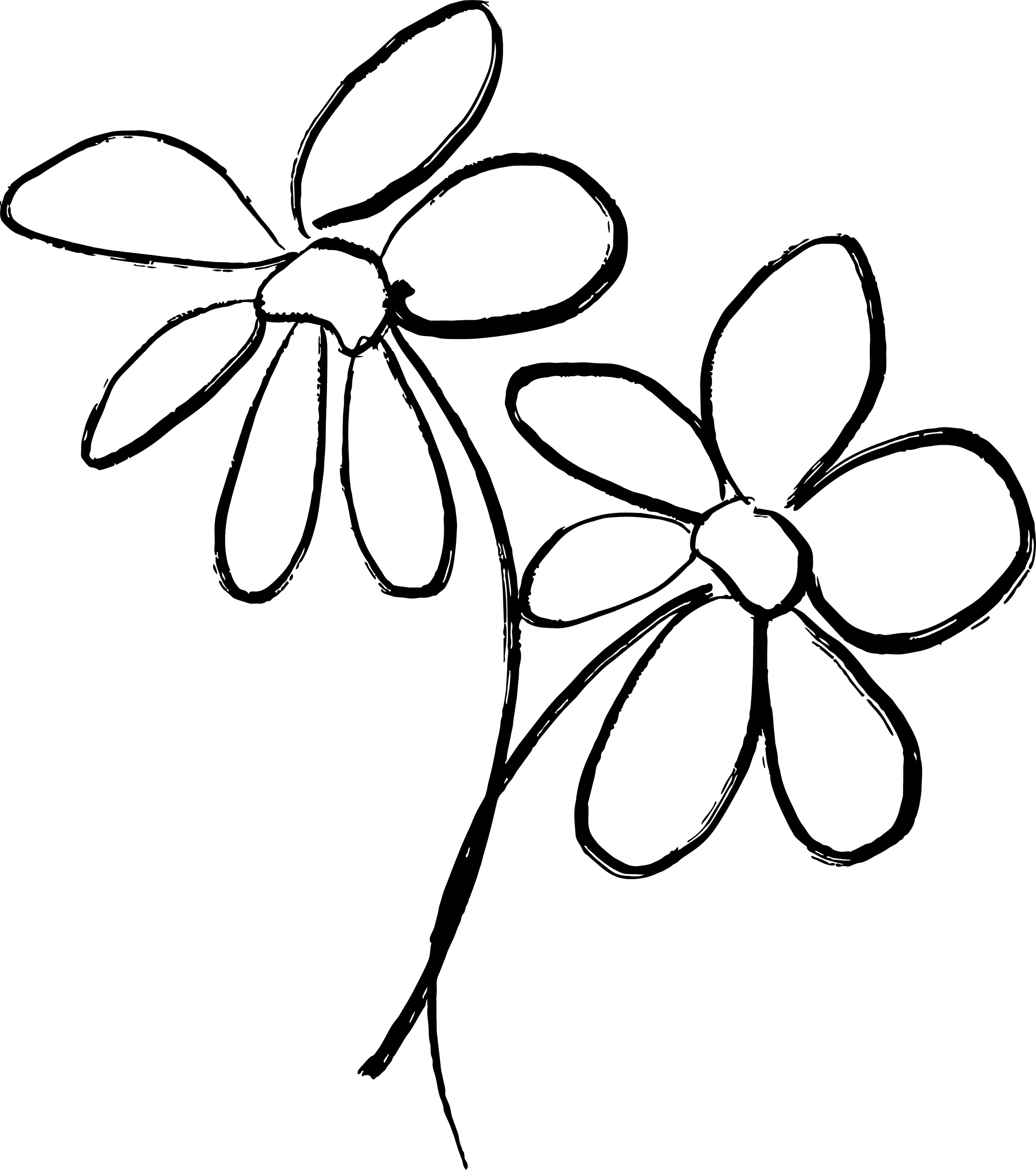 Outline drawing of a flower with multiple petals and a stem, against a black background.