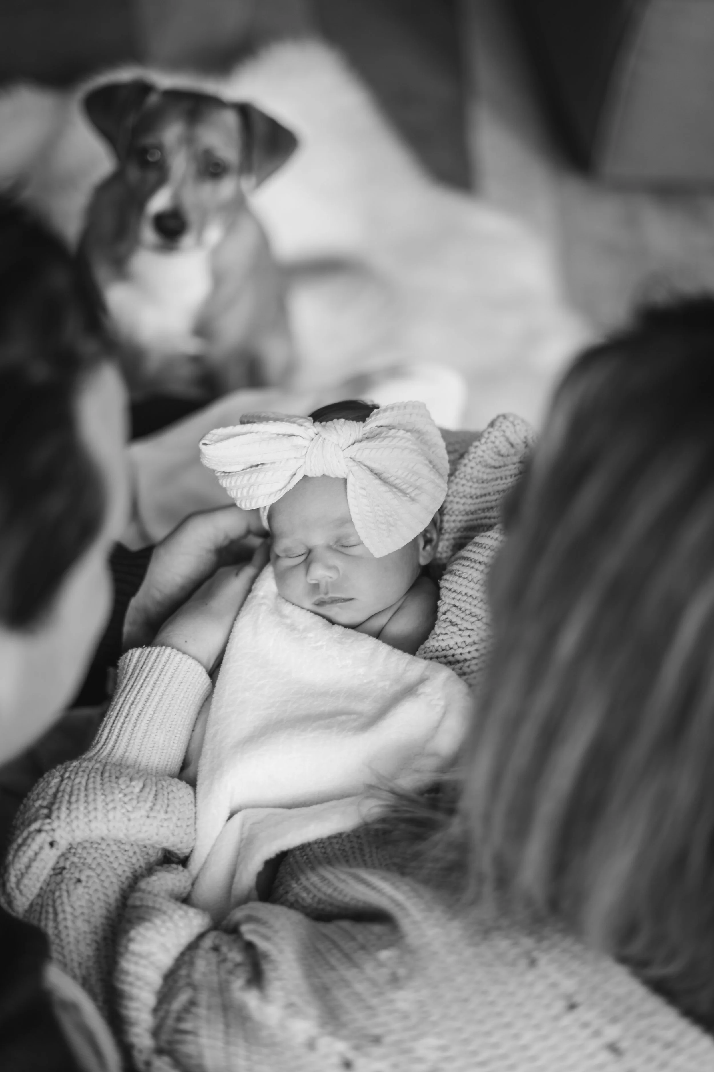 A newborn baby with a large bow headband sleeping on a blanket, surrounded by family and a dog in a cozy indoor setting.