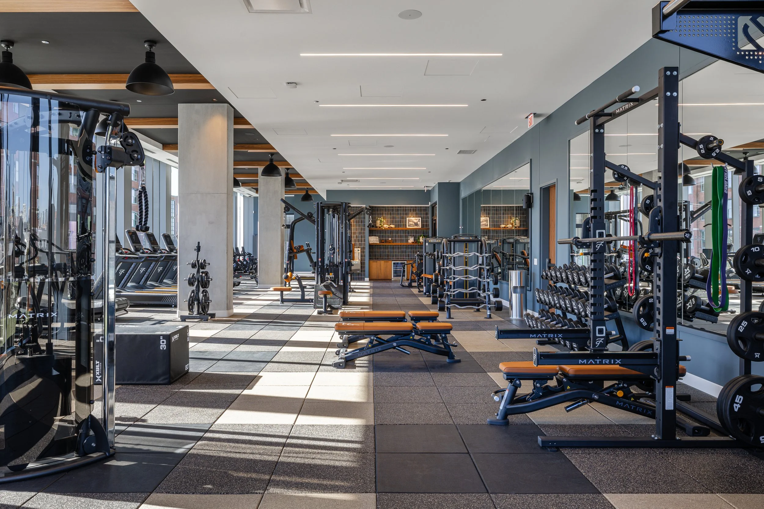 Empty modern gym with various workout equipment including weights, benches, and cardio machines, with sunlight streaming through large windows.