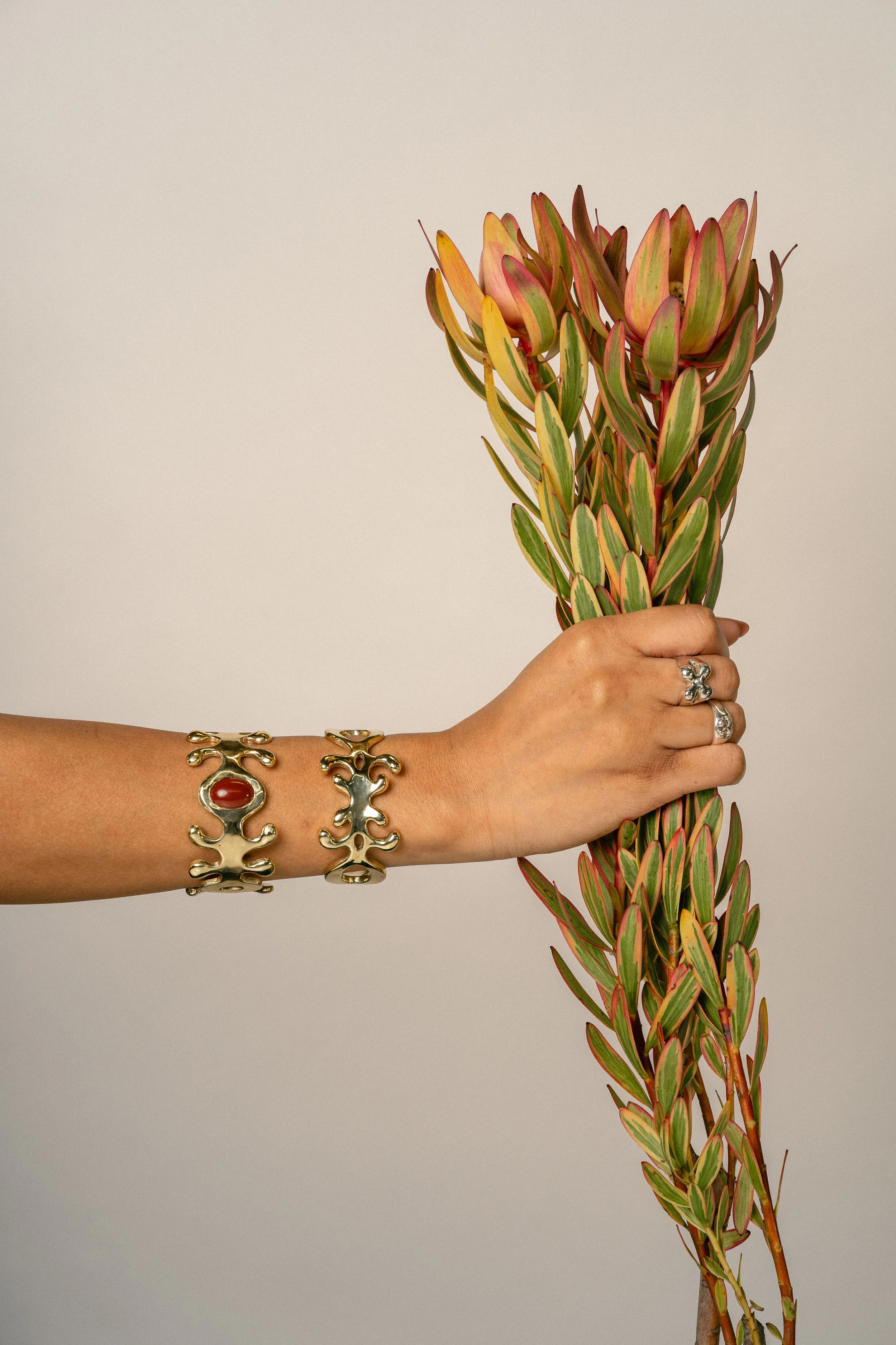 A person's hand holding a bouquet of pink and green variegated leaves, wearing gold jewelry including bracelets and rings, against a neutral background.