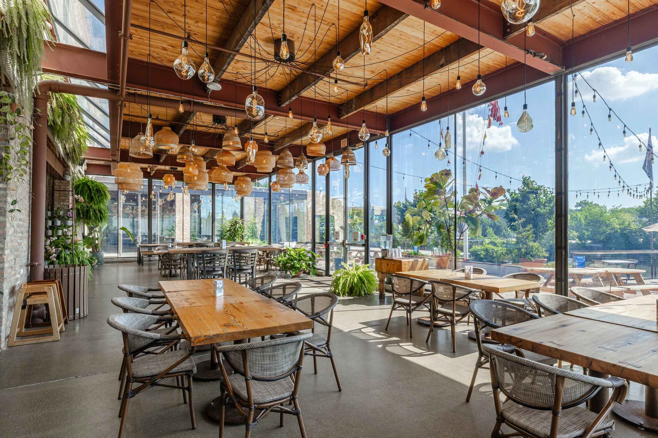 Bright, airy restaurant with large glass windows, hanging pendant lights, wooden tables, and many green plants, with outdoor seating visible outside.