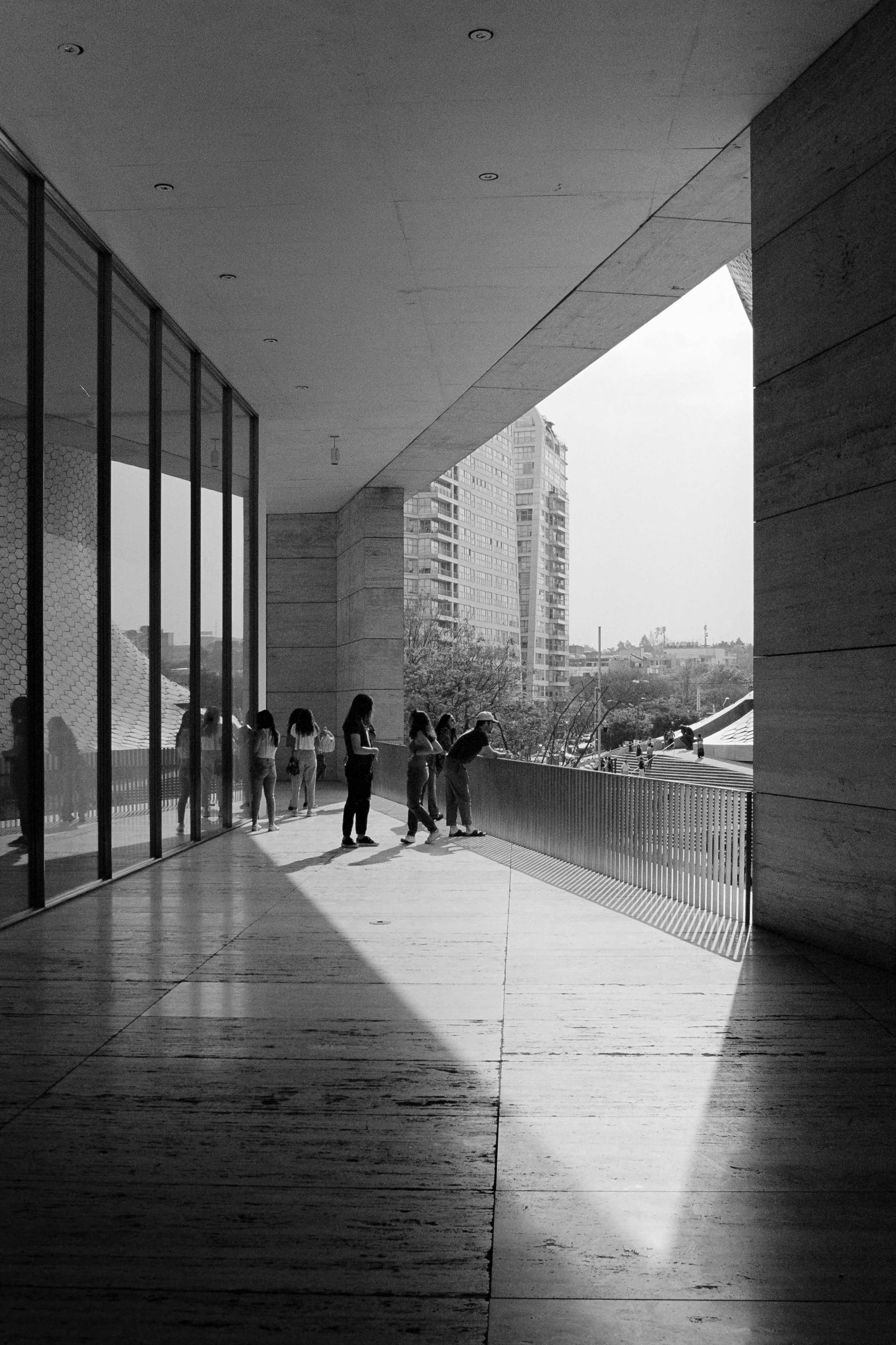 A group of people standing on a balcony or terrace outside a modern building, overlooking an urban area with tall buildings, trees, and a playground in black and white.