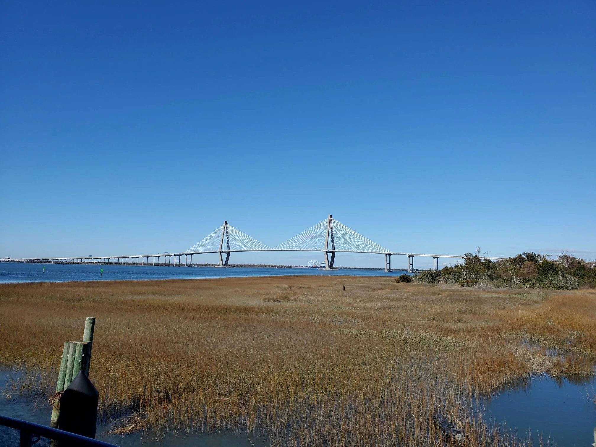 The Ravenal bridge that spans across the Cooper River, with marshland and some trees in the foreground and a clear blue sky overhead.