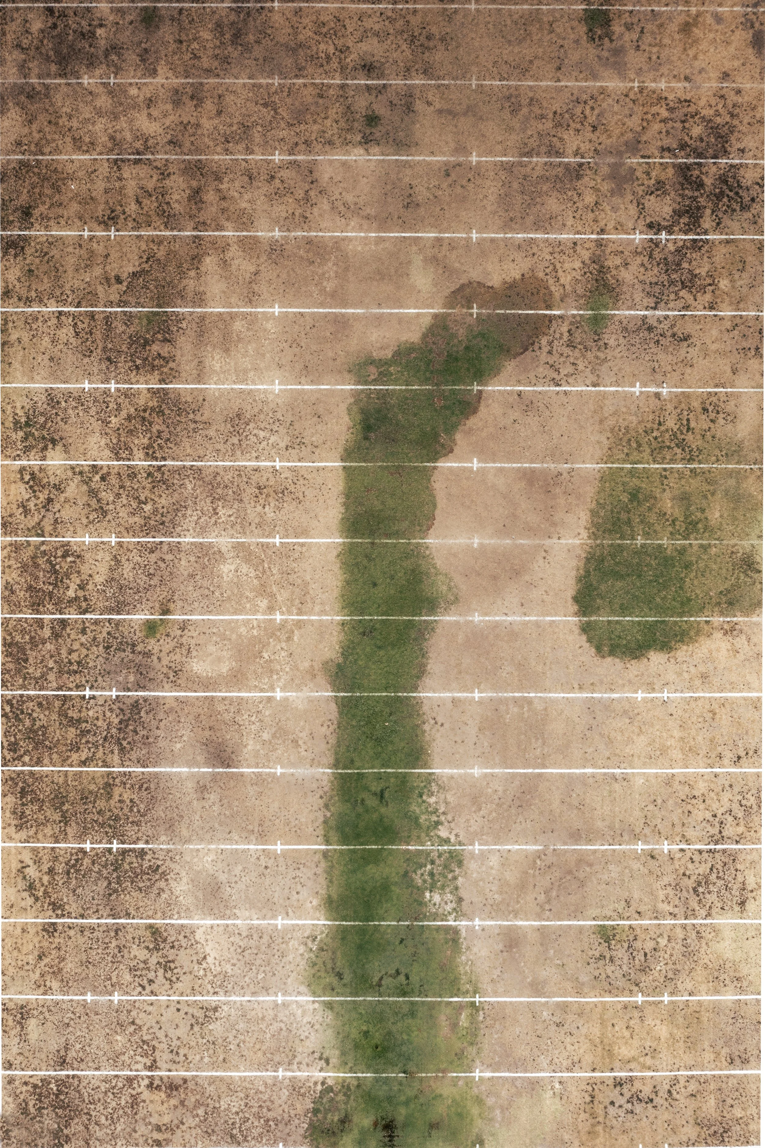 DJI_0482.jpg