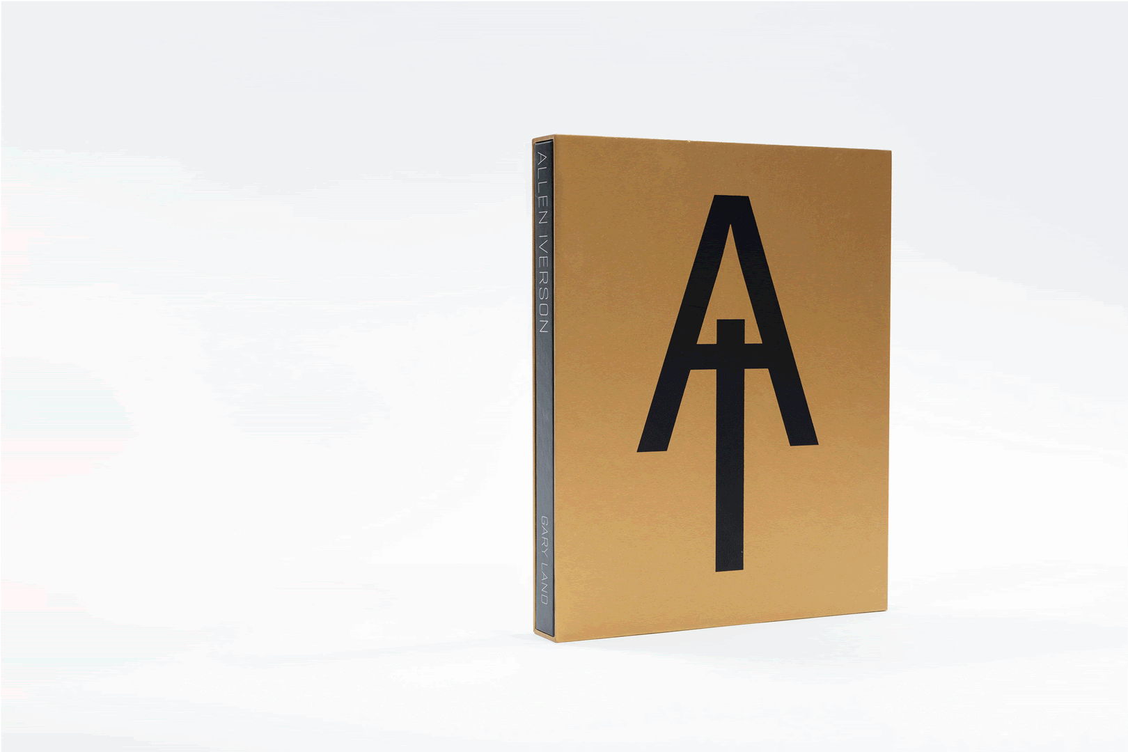 Iverson book.gif