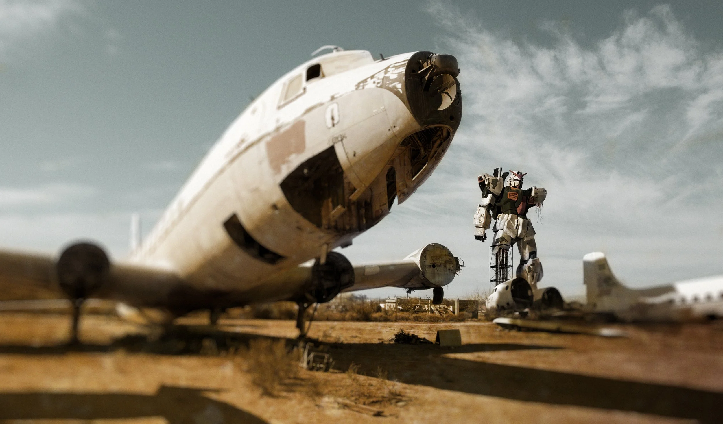 airplain_graveyard_002303f.jpg