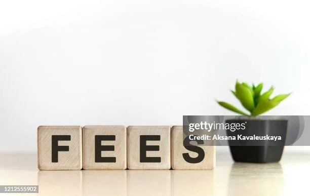 Wooden blocks spelling 'FEES' next to a potted green succulent plant on a white surface.