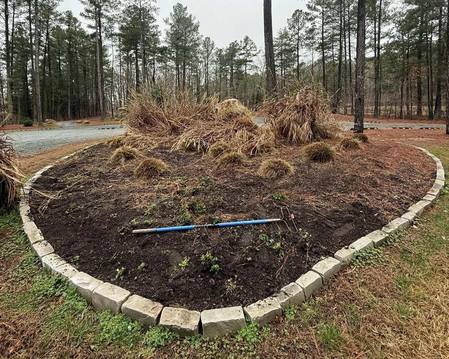 A landscaped garden bed with dark soil, bordered by light-colored bricks, containing dried ornamental grasses and some small green plants, with a garden rake resting on the soil.