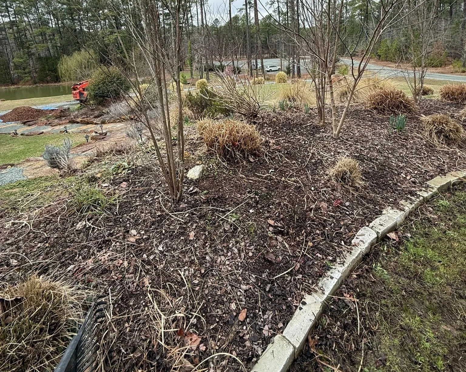 A landscaped garden with small trees, dried plants, and mulch, bordered by stone edging, with a grassy area and a pond in the background.