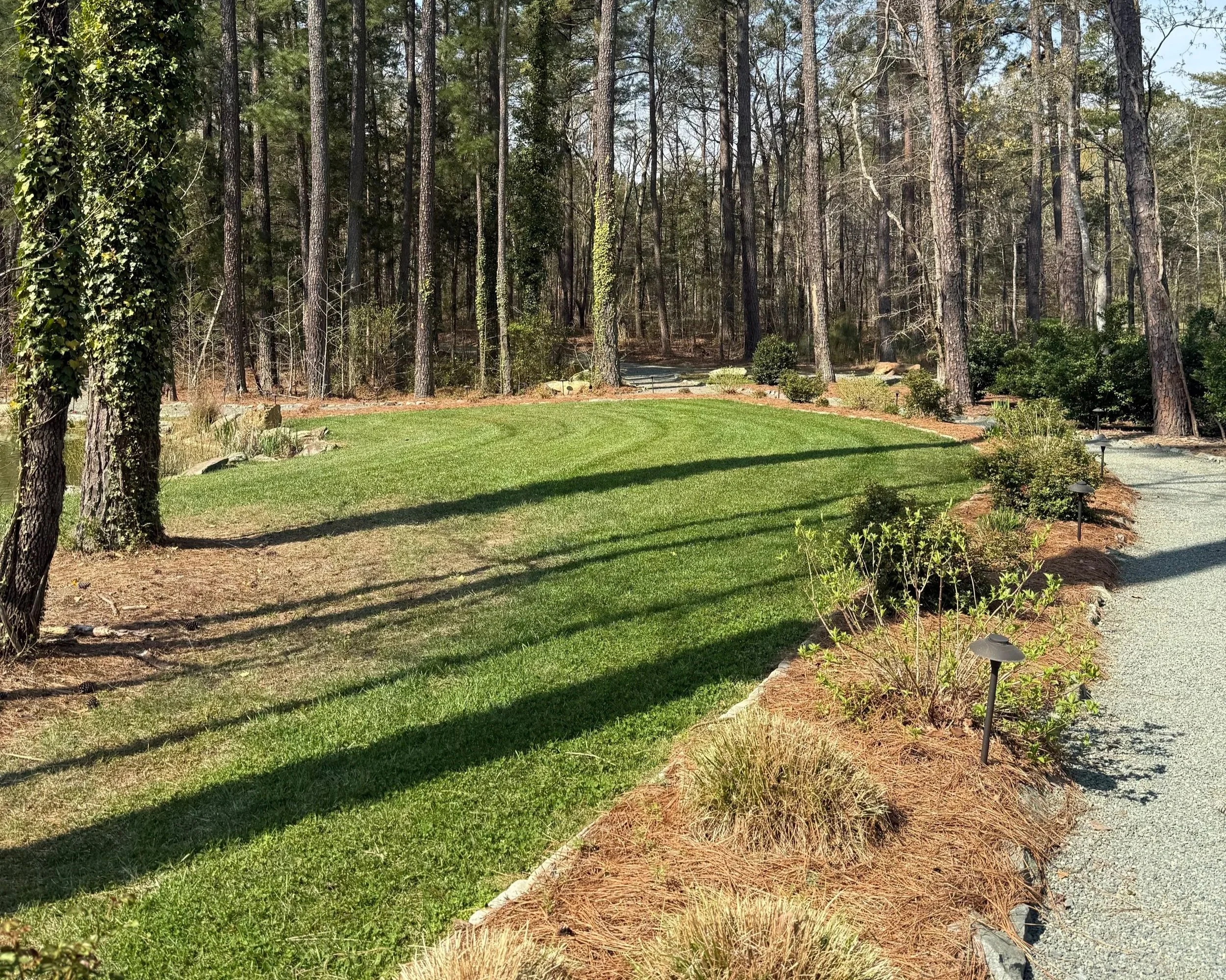 A landscaped yard with a recently mowed grassy lawn, a gravel hardscape pathway, small plants in a pine straw bed, and trees in the background, with sunlight and shadows.