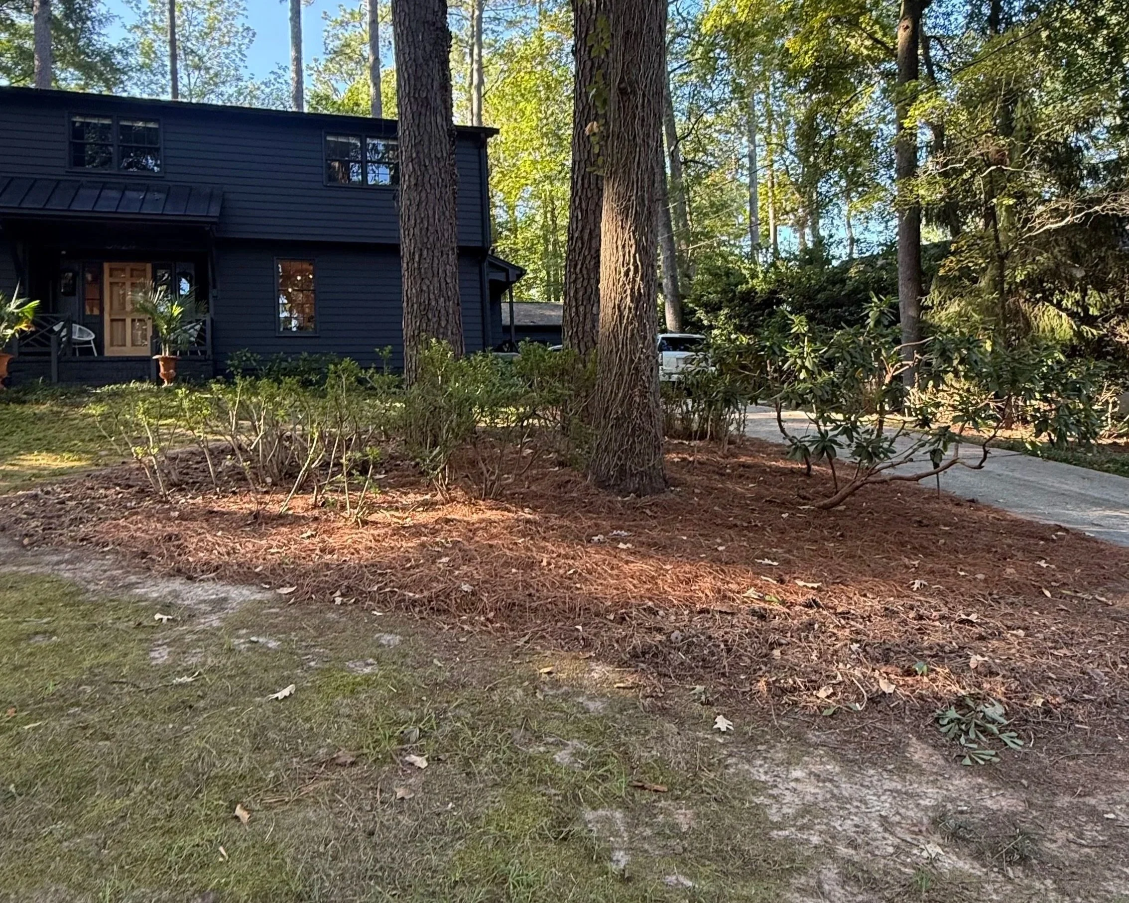A house painted dark blue situated among tall trees and lush greenery in a wooded area. The house has multiple windows and a porch with potted plants. There are large trees in the foreground and sunlight filtering through the leaves.