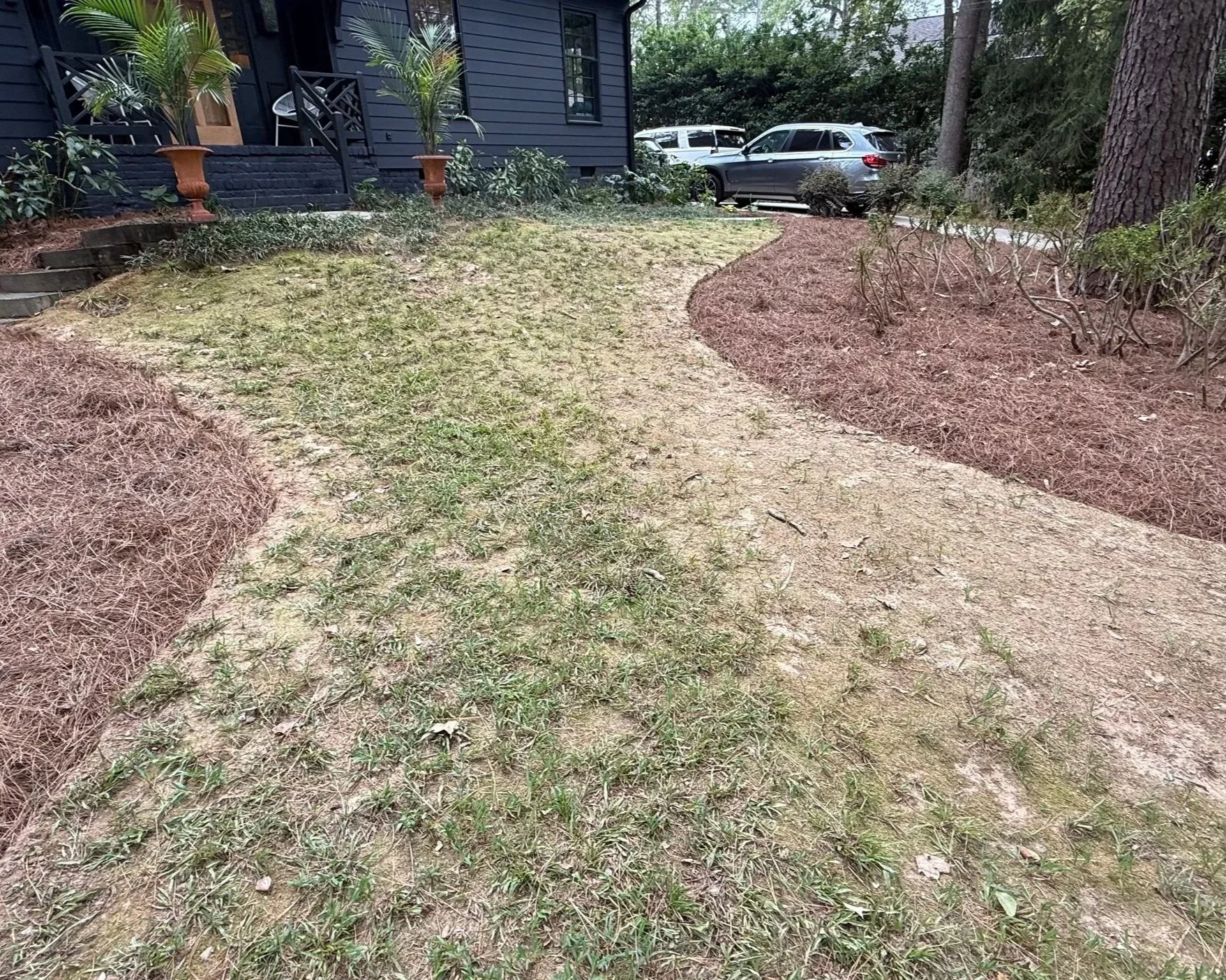A backyard with a curved dirt and grass walkway, surrounded by newly planted bushes and potted plants, with a dark-colored house and parked cars visible in the background.