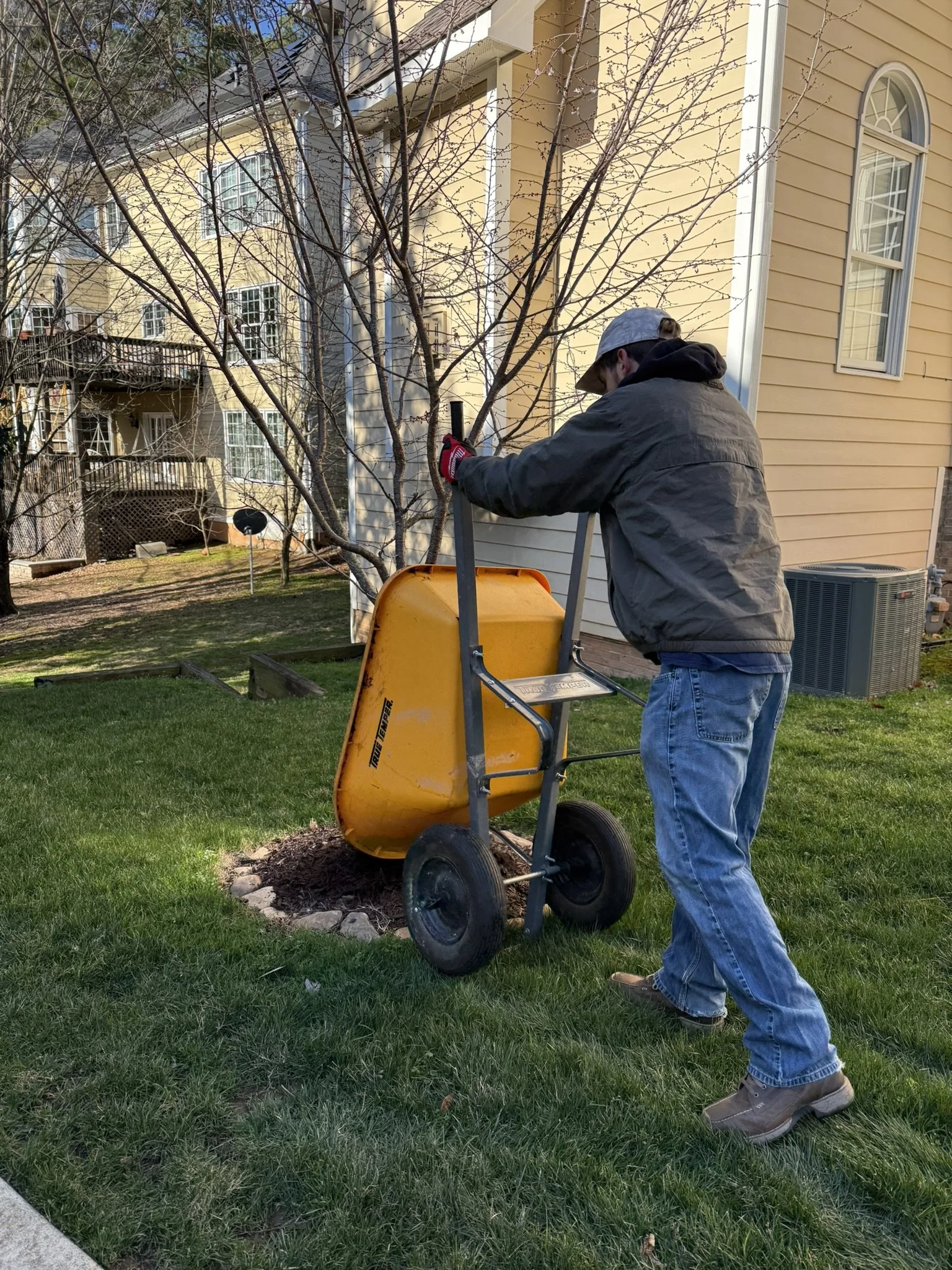 A man using a wheelbarrow to move soil or mulch in a backyard garden next to a yellow house and leafless trees.
