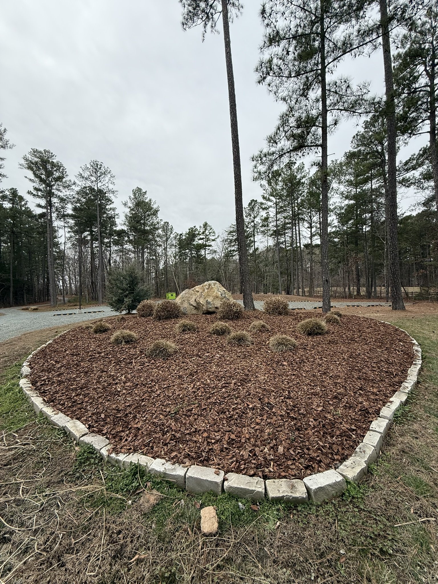 A landscaped garden bed with reddish-brown mulch, bordered by light-colored stone bricks, containing small shrubs and a large rock in a wooded area with pine trees and a cloudy sky.