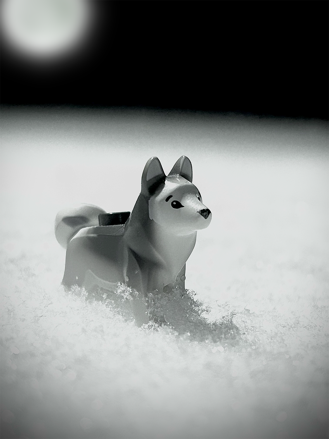 Toy Photography