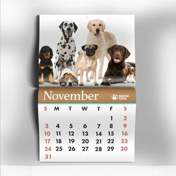 self-cover-calendars2.webp
