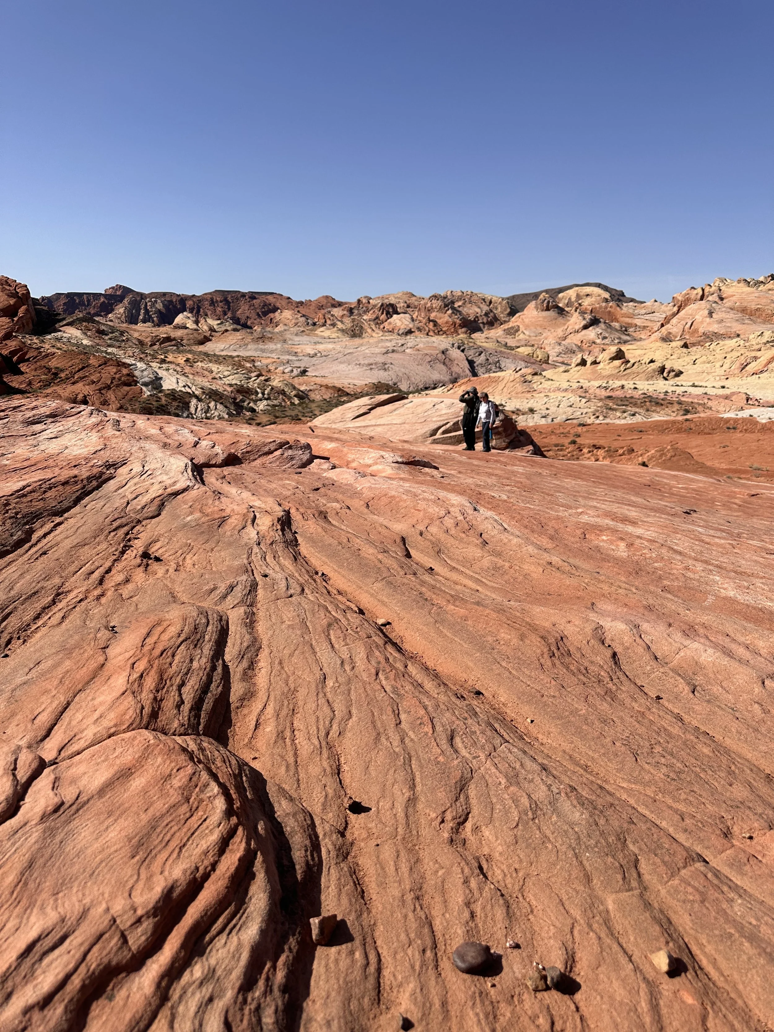 How I Automate &amp; Simplify My Routine as a Military Spouse Using Notion