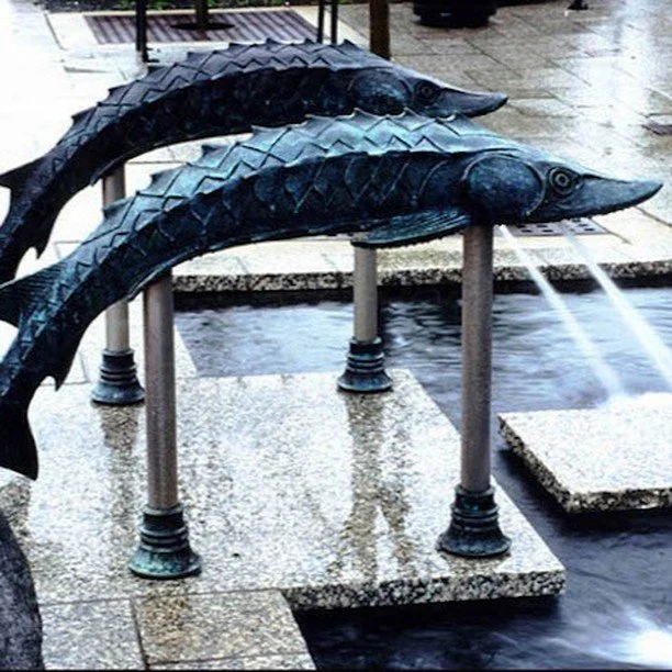 Sturgeon Entry Jets - the Fountain of the Wind - cast bronze 6' Located in Canal Park Duluth, MN on the shores of Lake Superior. #fountains #Publicart #sculpture #bronze #civicplaza #sturgeon #LakeSuperior #fun
