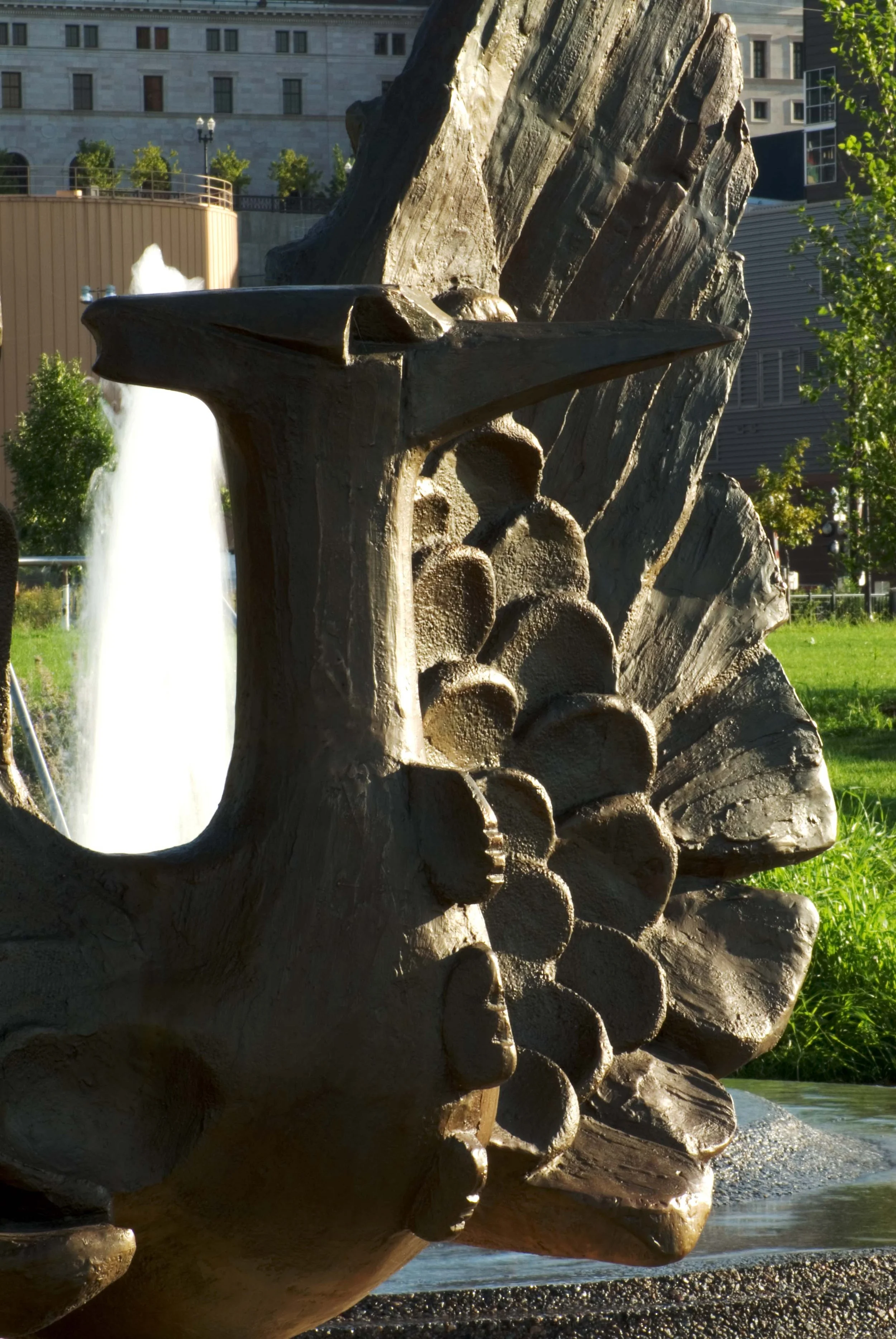 Bird close.jpg