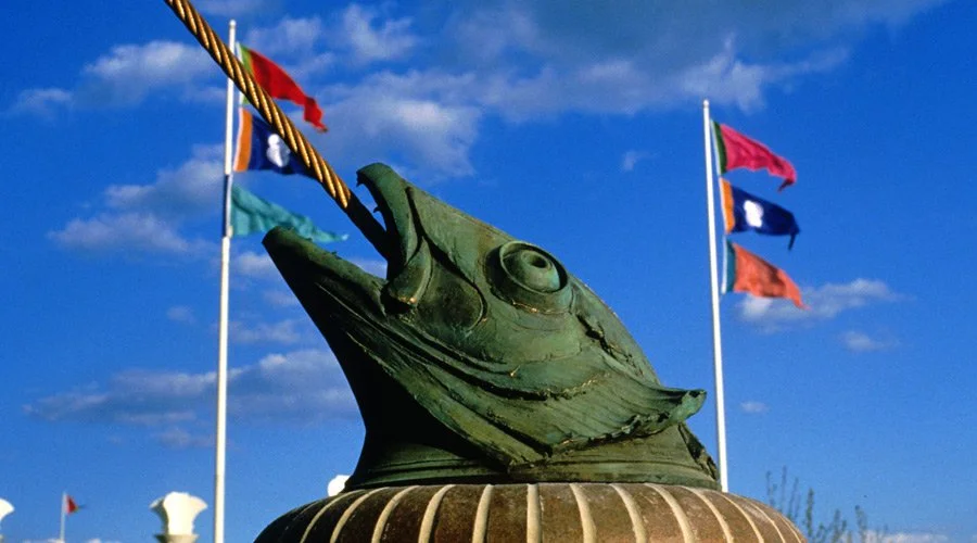 004-fish-head-shroud.jpeg