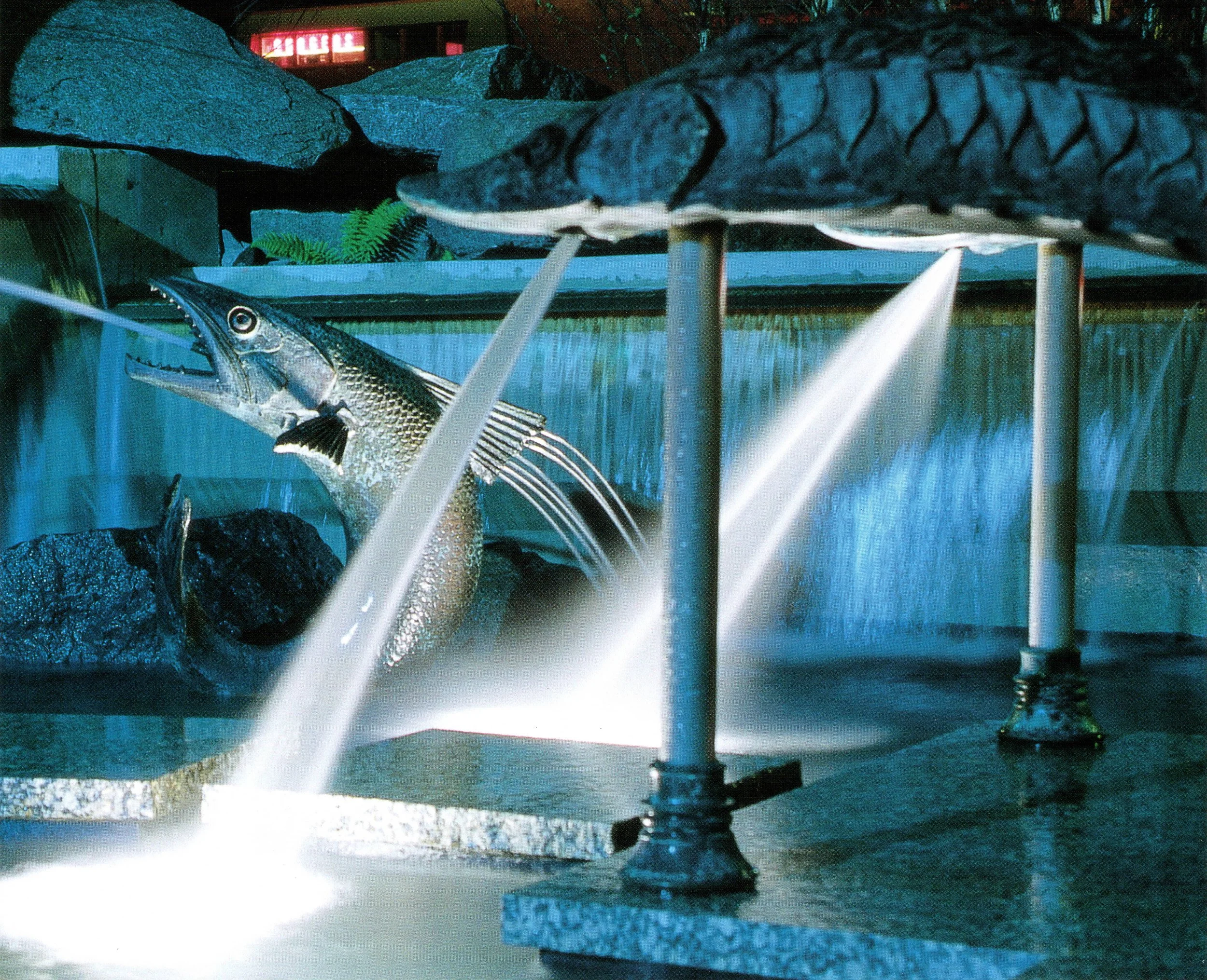 The-Fountain-of-the-Wind-DouglasFreeman-5.jpg