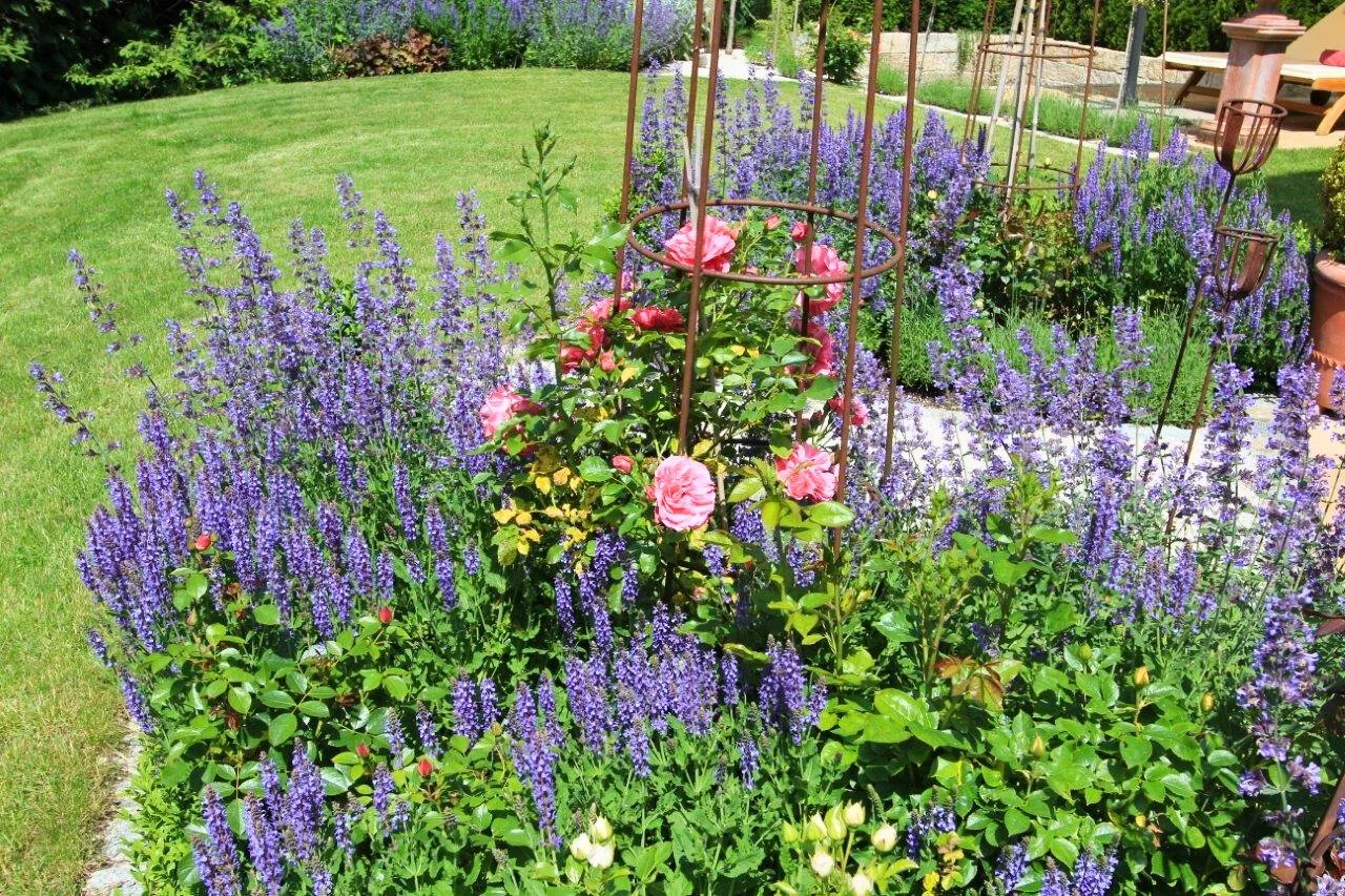 Blumenfeld vor der Terrasse