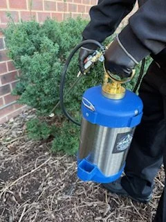A person holding a garden sprayer in a garden bed near a brick wall and green bushes.