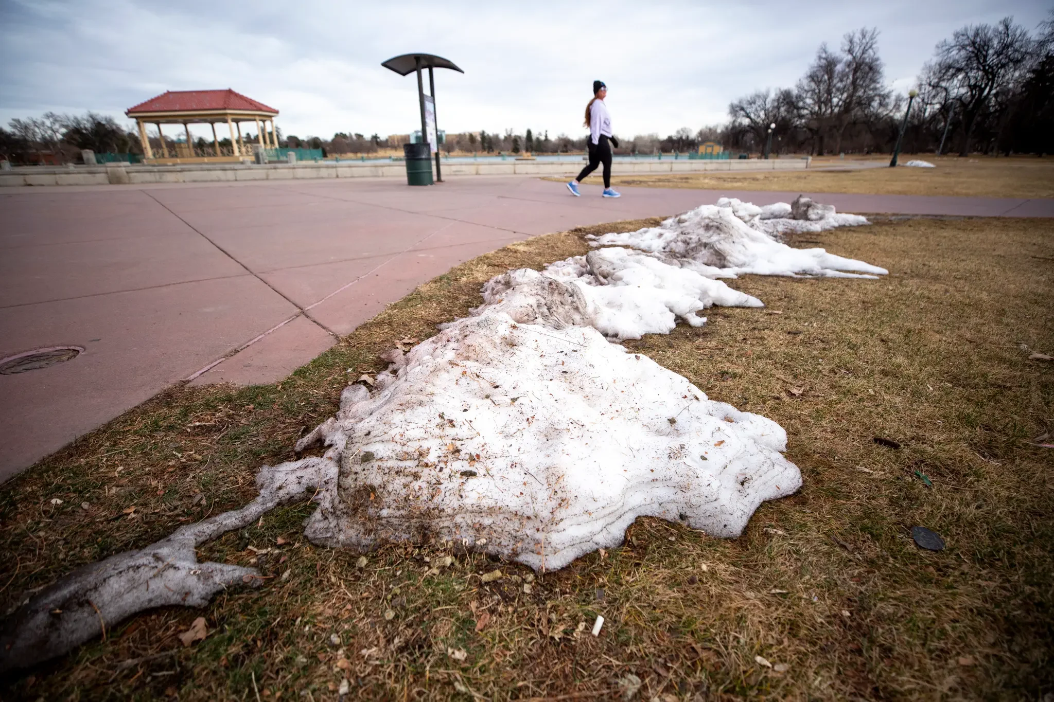 Why Pests Are Popping Up Early in Aurora and Denver After a Warm Colorado Winter
