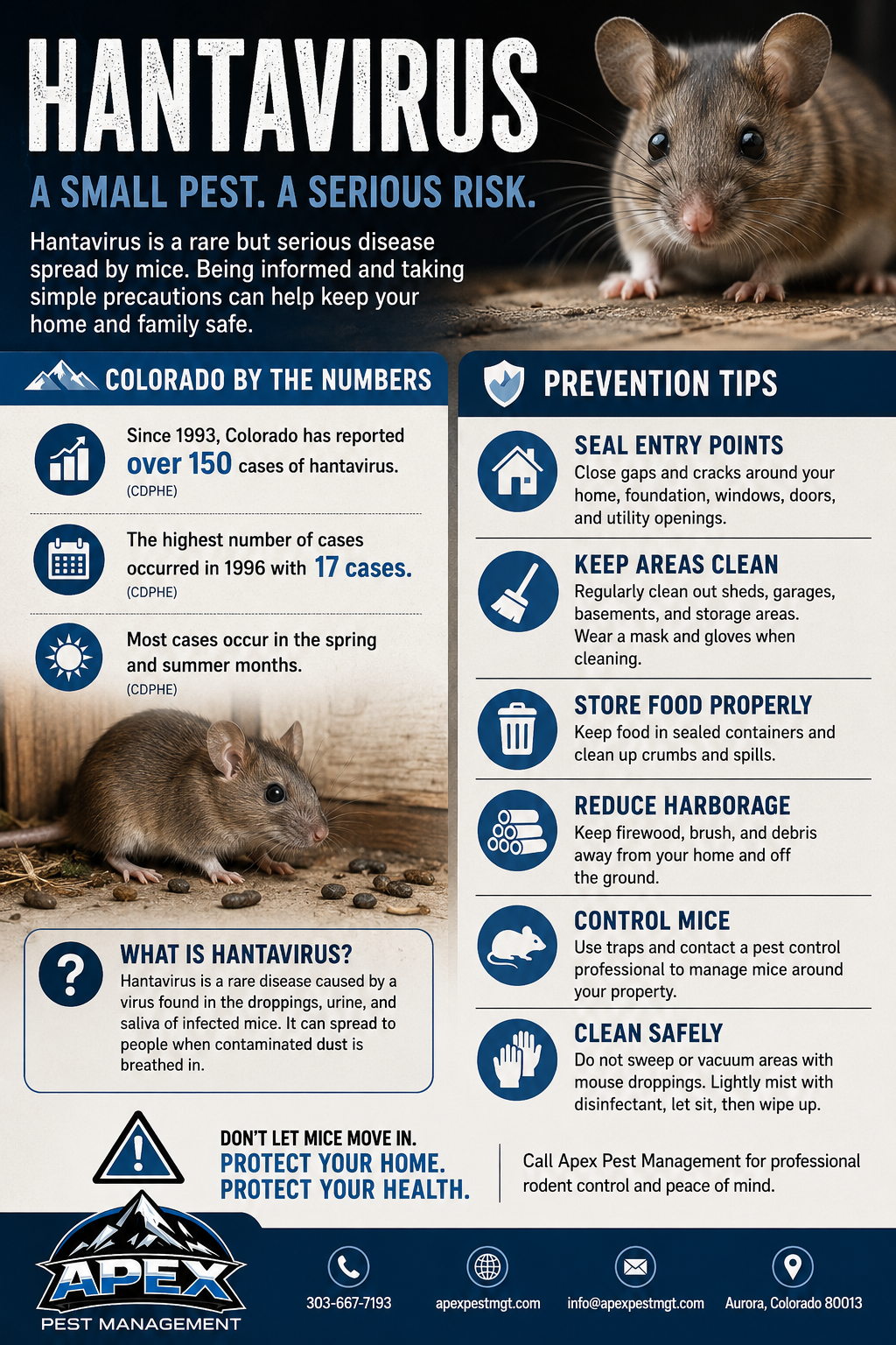 Increased Rodent Activity Indoors This Month: Why Cooler Weather Drives Mice Inside and the Hidden Risks of Hantavirus