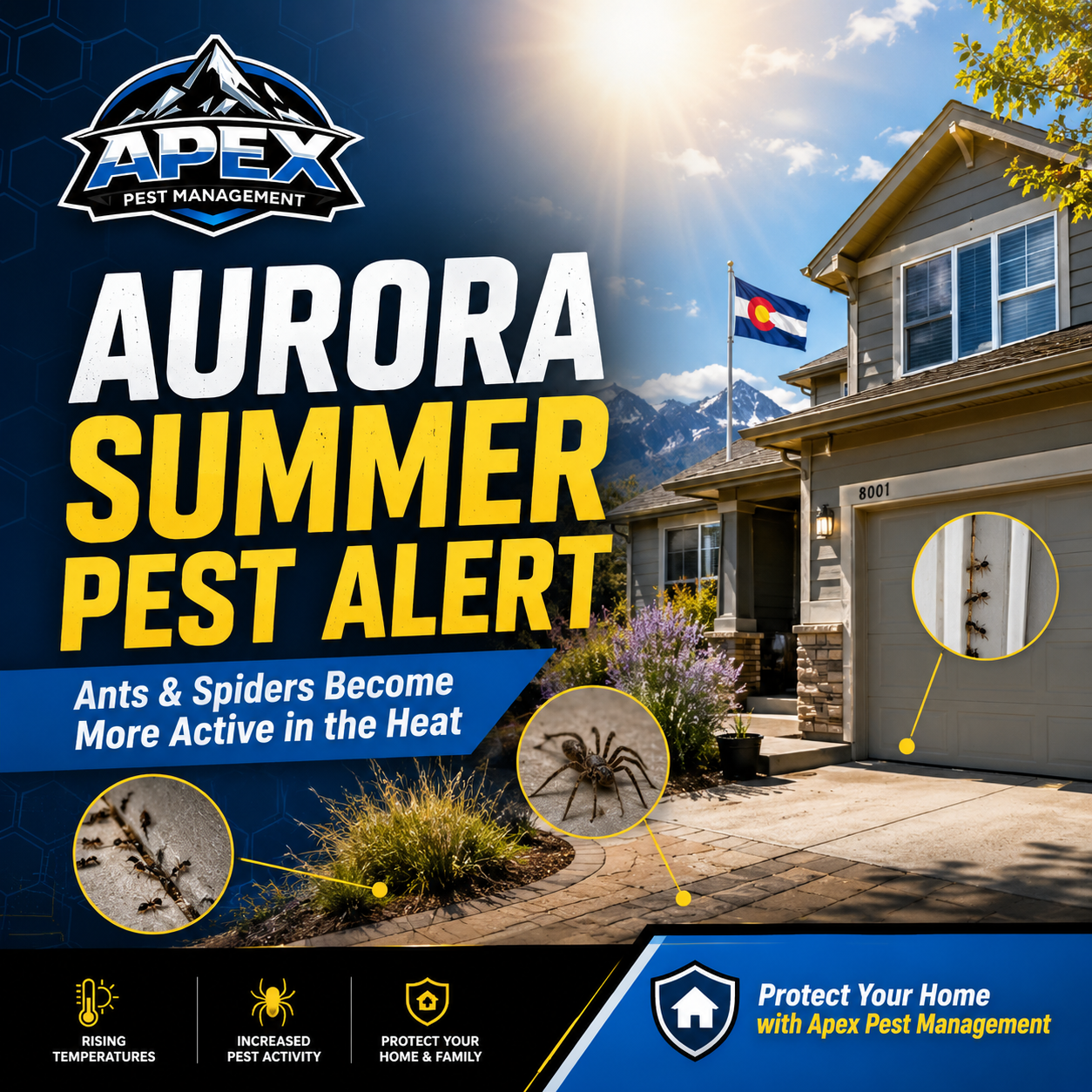 Aurora, Colorado Pest Control Trends: Why Heat Is Increasing Ant and Spider Activity This Year