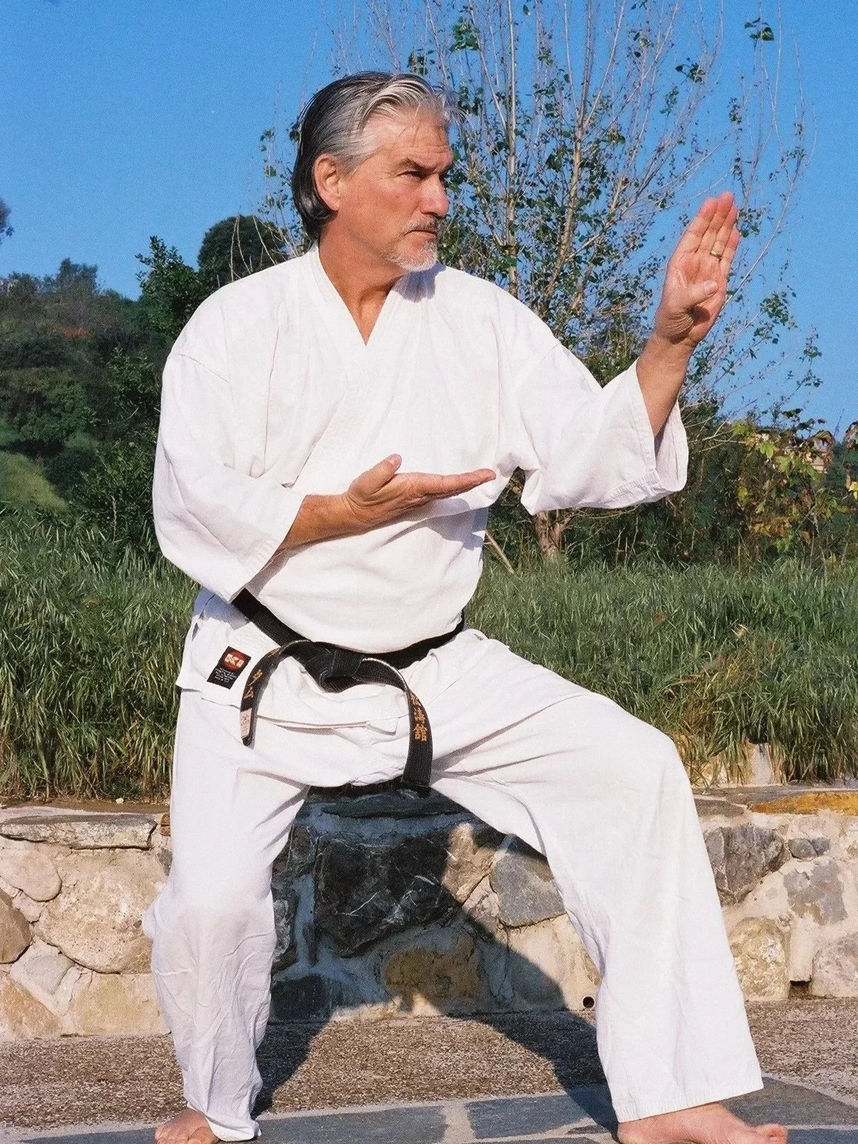 Martial artist Tom Muzila, co-author of Longevity in the Martial Arts, demonstrating lifelong martial arts training.