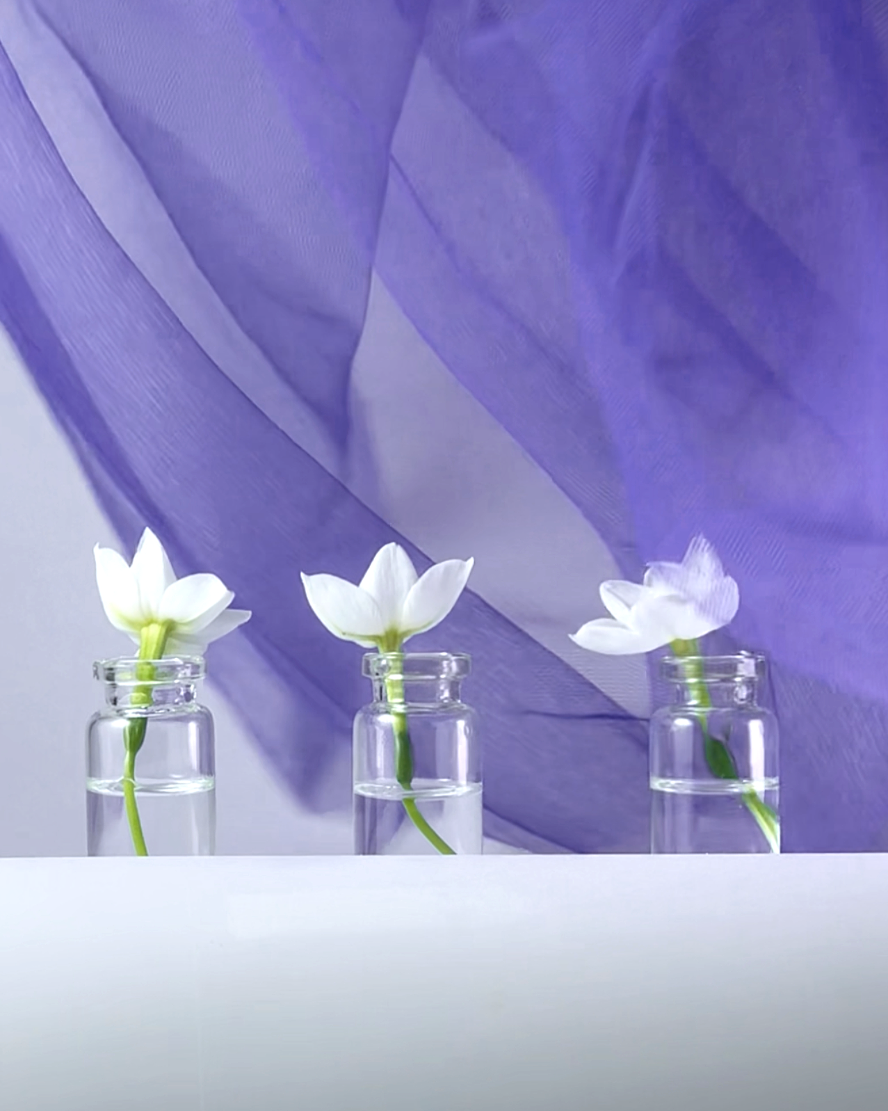 Short-form botanical visual to support Ffern Spring'25 campaign