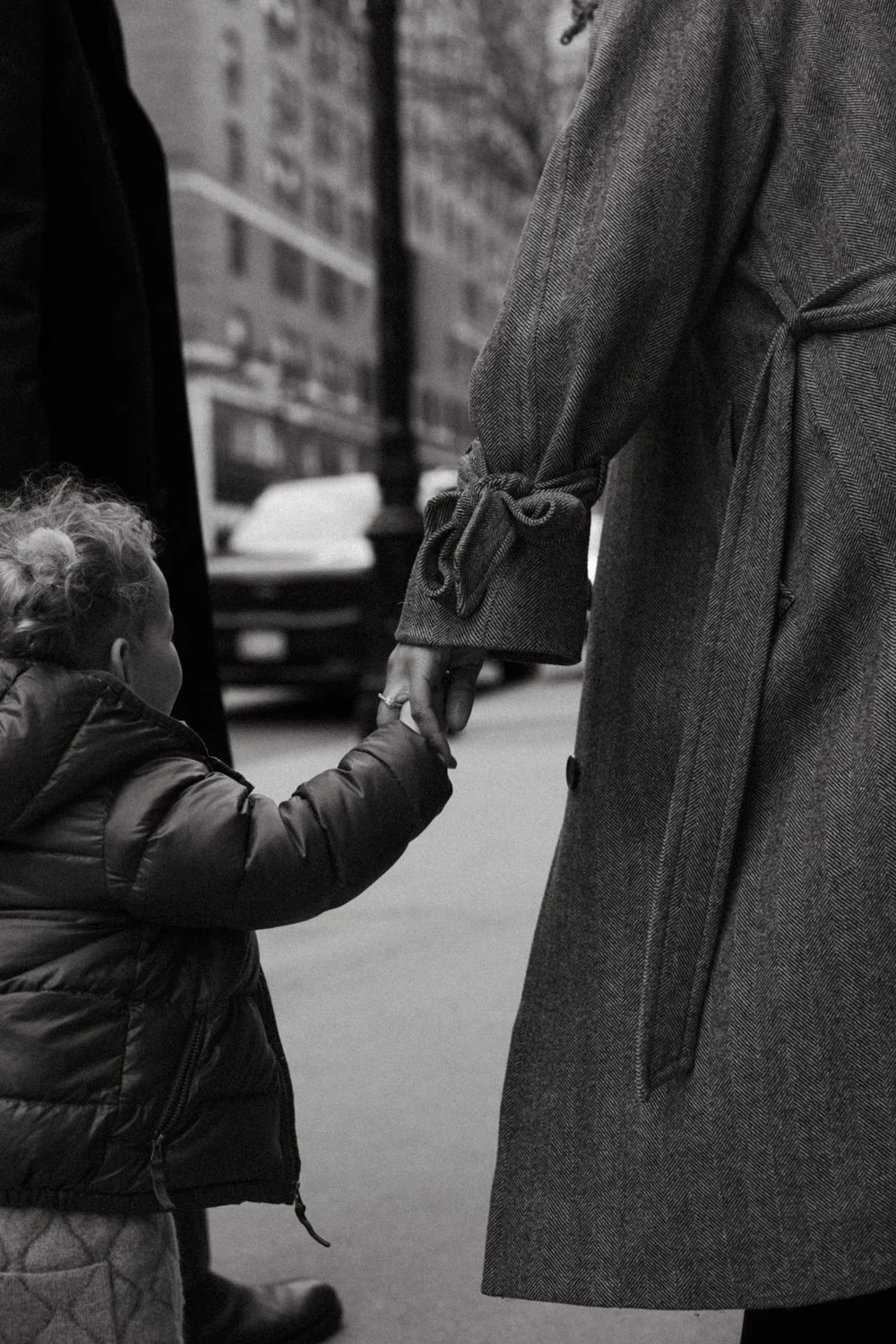 the hush of early spring