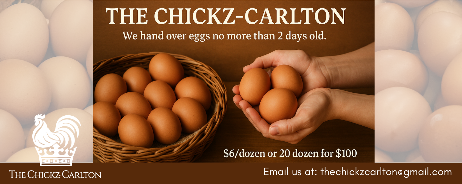 Advertisement for eggs from The Chickz-Carlton featuring a basket of brown eggs and a person holding some eggs. Text shows price and contact information.
