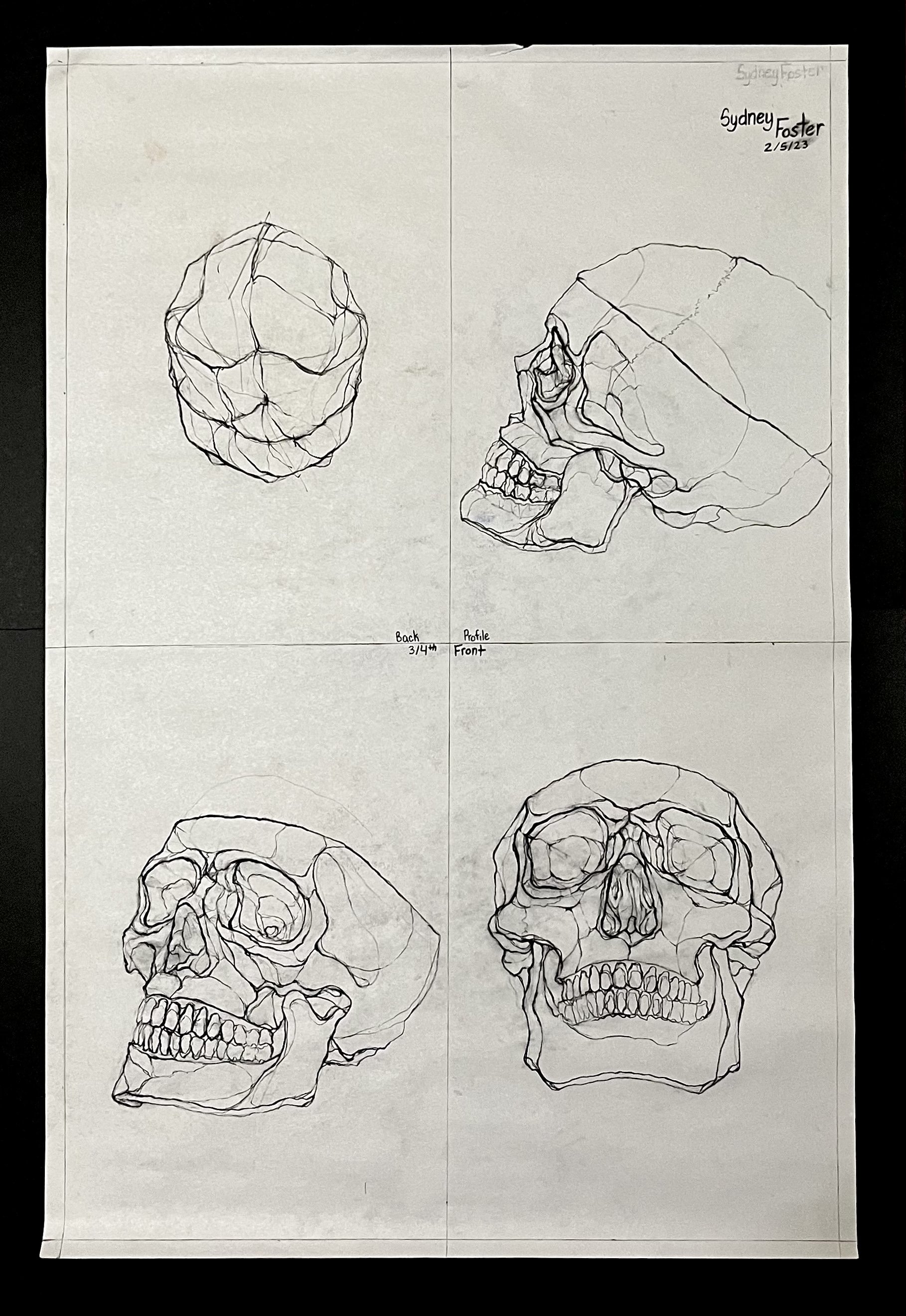 Foster Sydney Drawing Example 1.jpeg