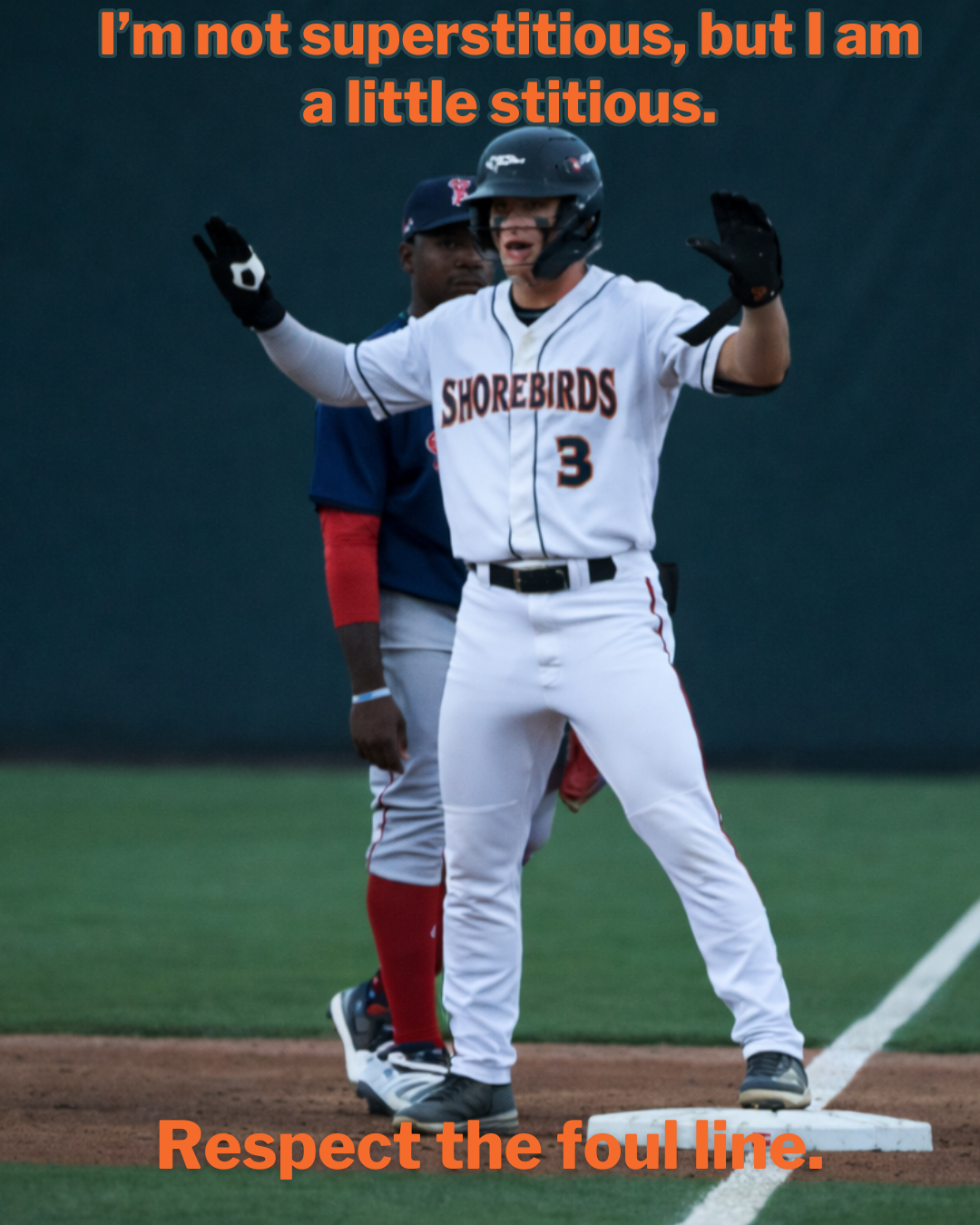 Shorebirds Foul Line .png