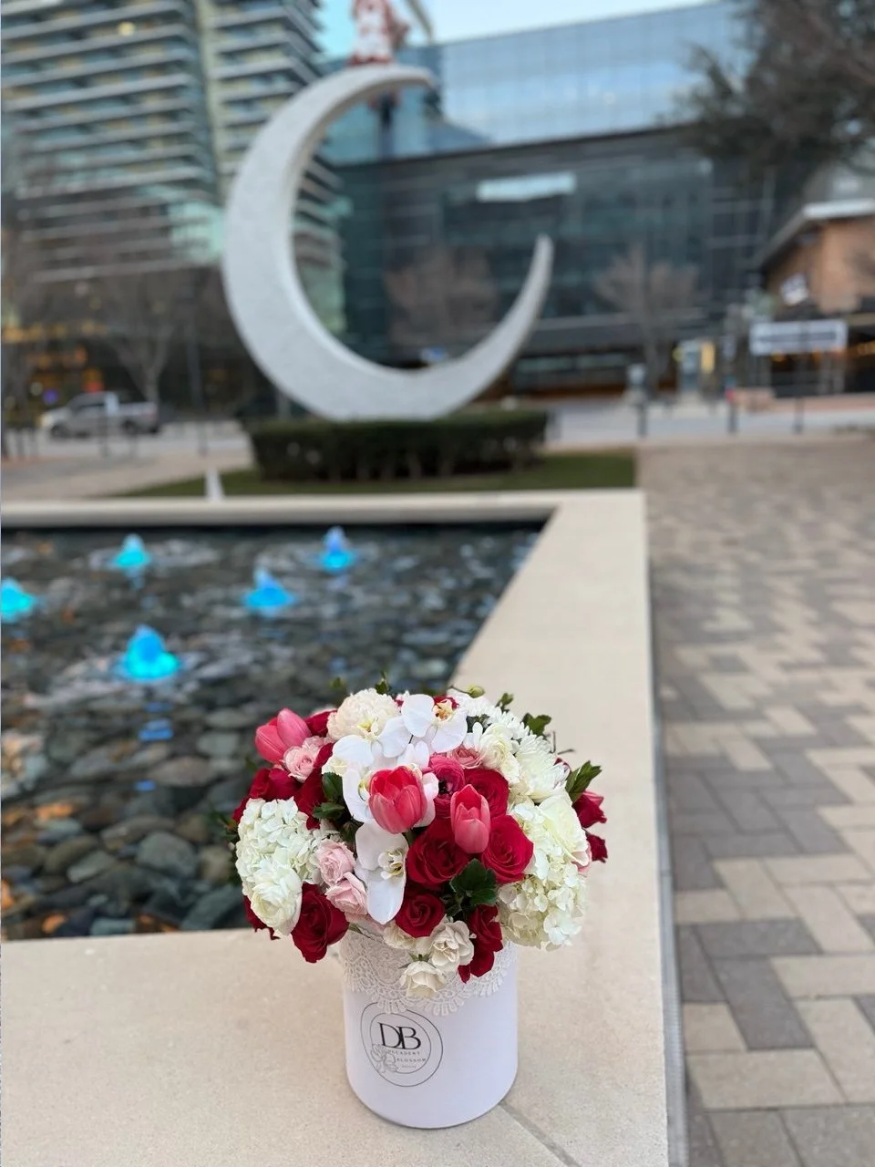 photo_2026-02-09_11-03-51 (6) -edited3.jpg