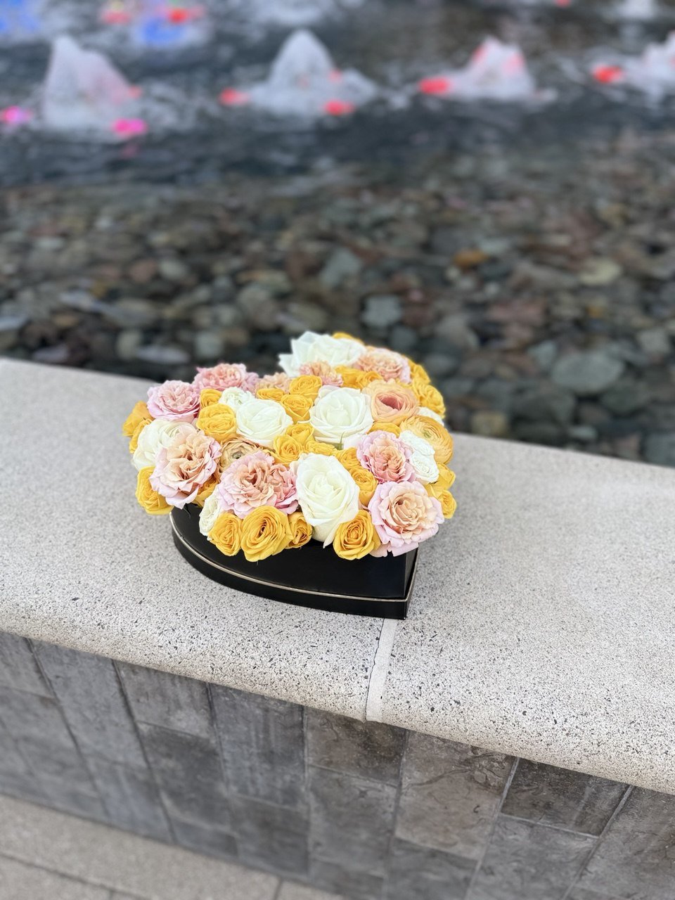 photo_2026-02-11_13-17-22 (3).jpg