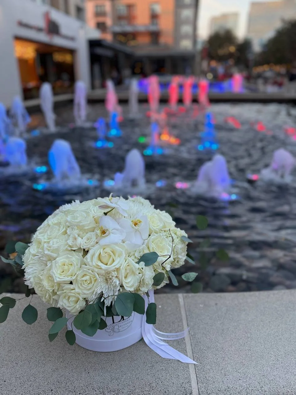 photo_2026-02-10_11-14-33 (3).jpg