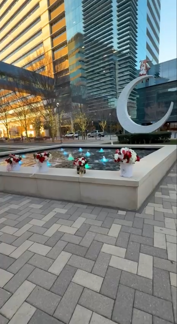 blushRoyaleSignature all sizes.PNG